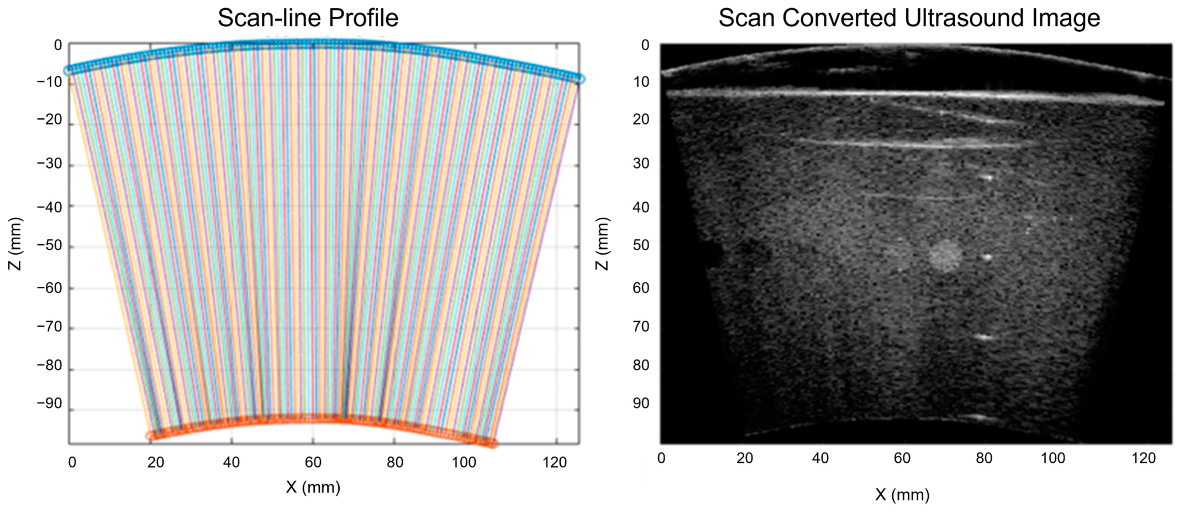 Cancers 15 03294 g004