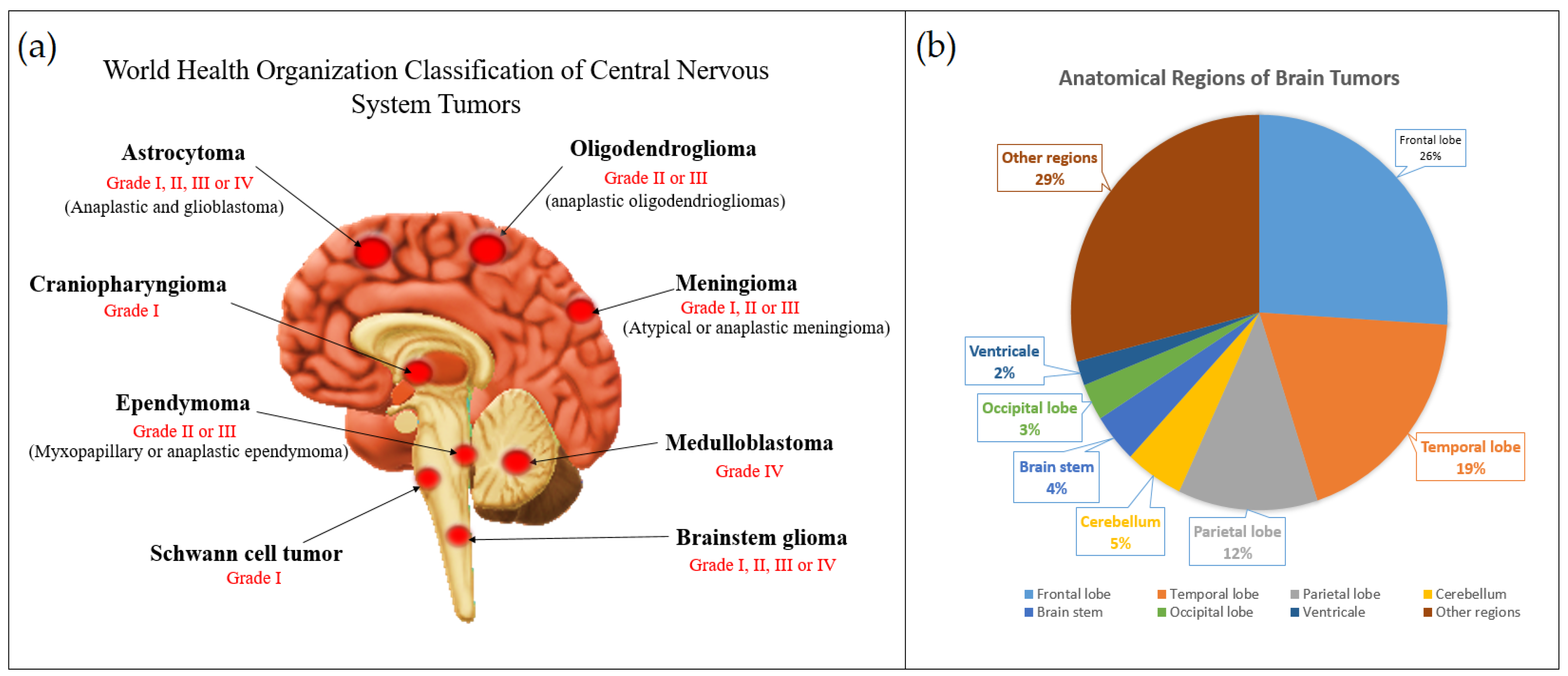 Cancers 15 03298 g001 Cancers 15 03298 g001