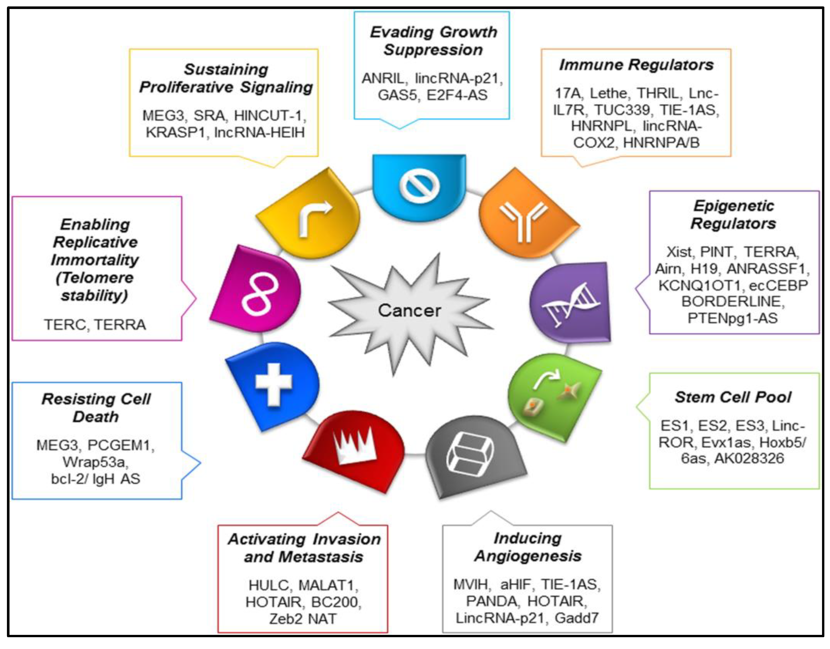 Cancers 15 03298 g003 Cancers 15 03298 g003