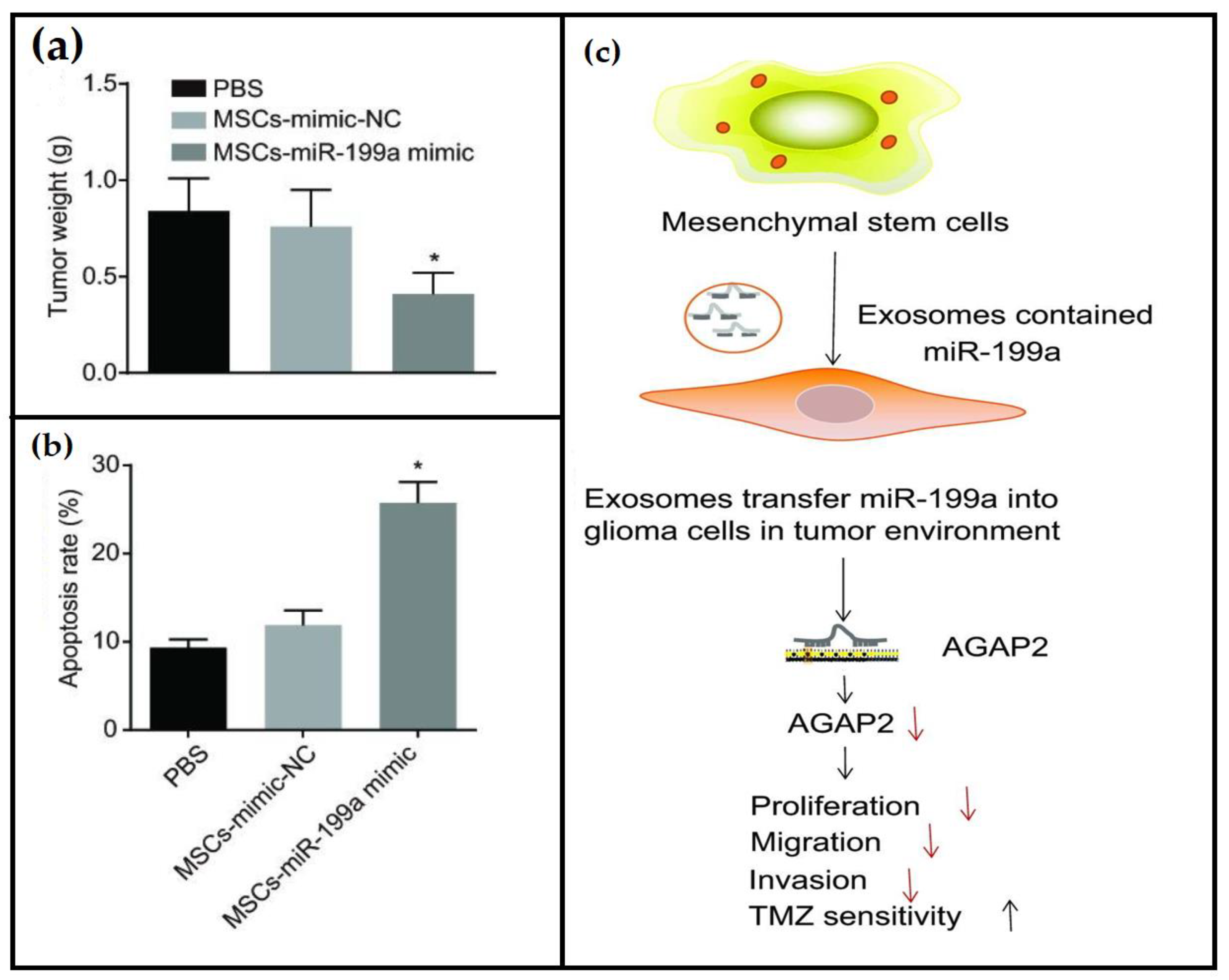 Cancers 15 03298 g006 Cancers 15 03298 g006
