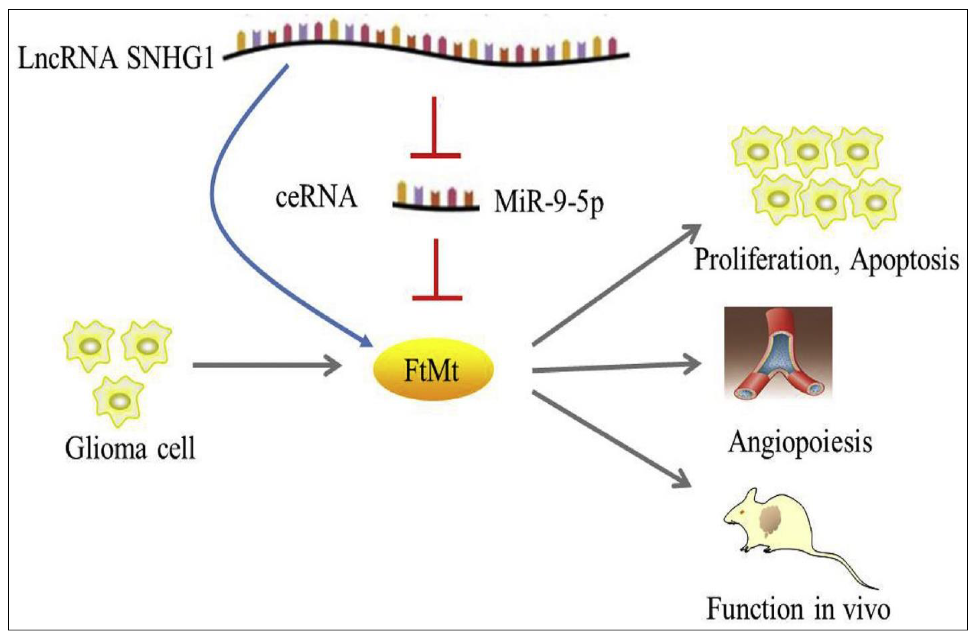 Cancers 15 03298 g007 Cancers 15 03298 g007