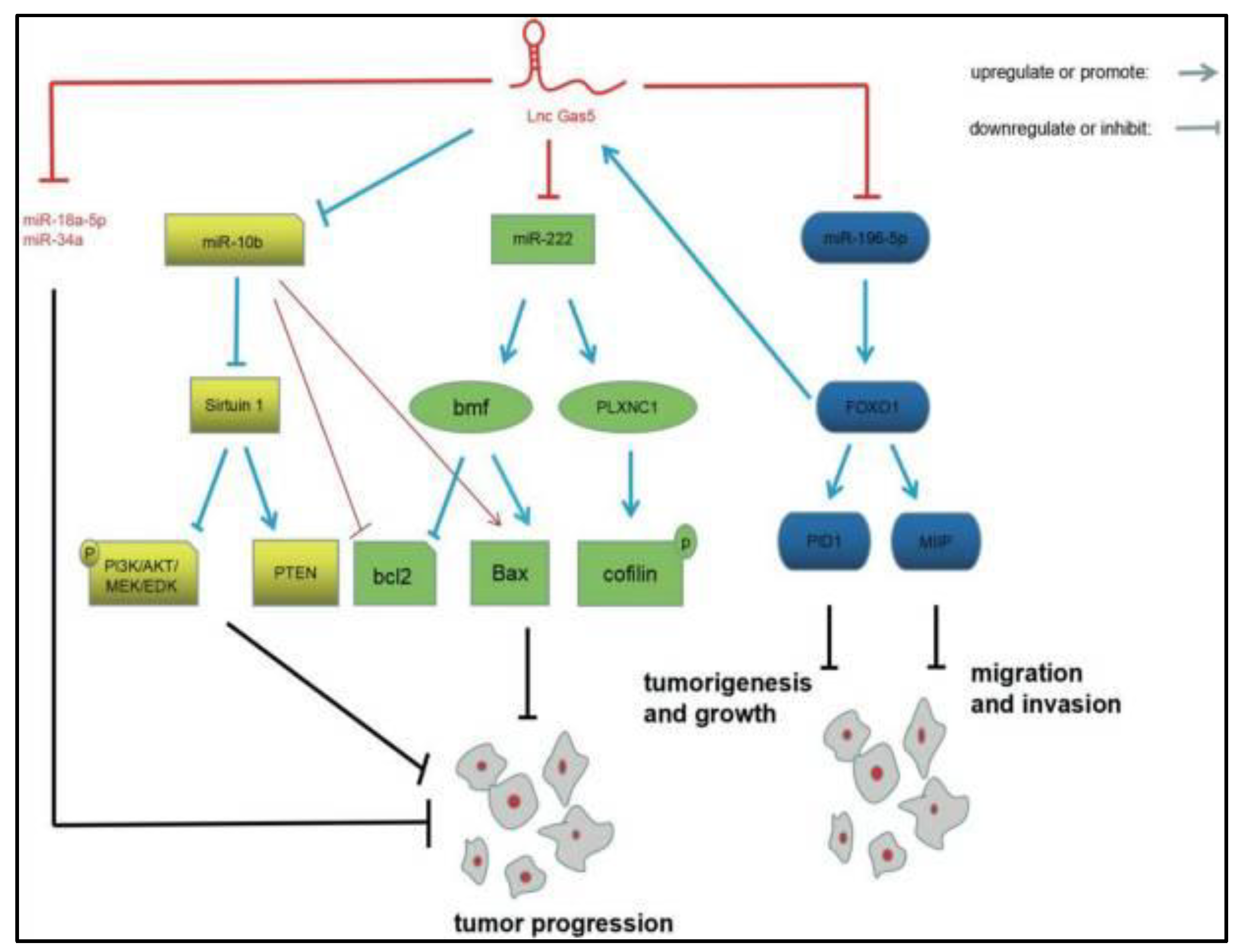 Cancers 15 03298 g008 Cancers 15 03298 g008