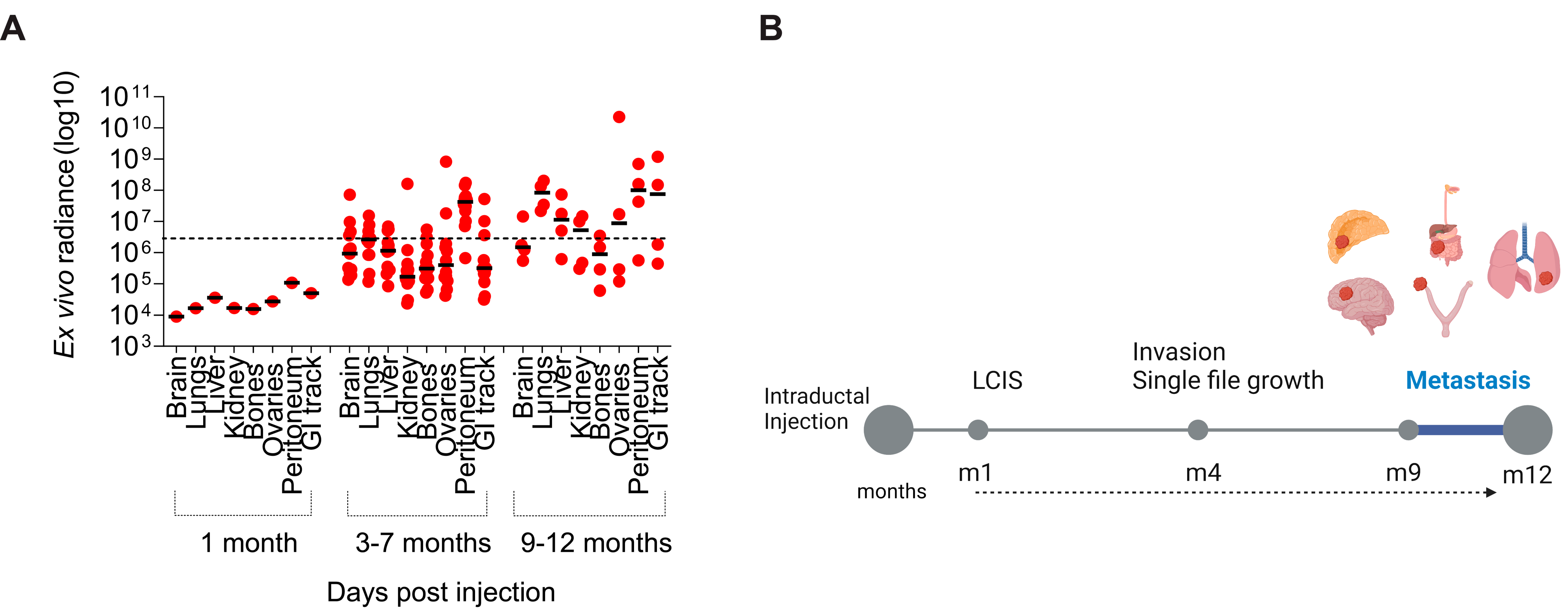 Cancers 15 03299 g002 Cancers 15 03299 g002