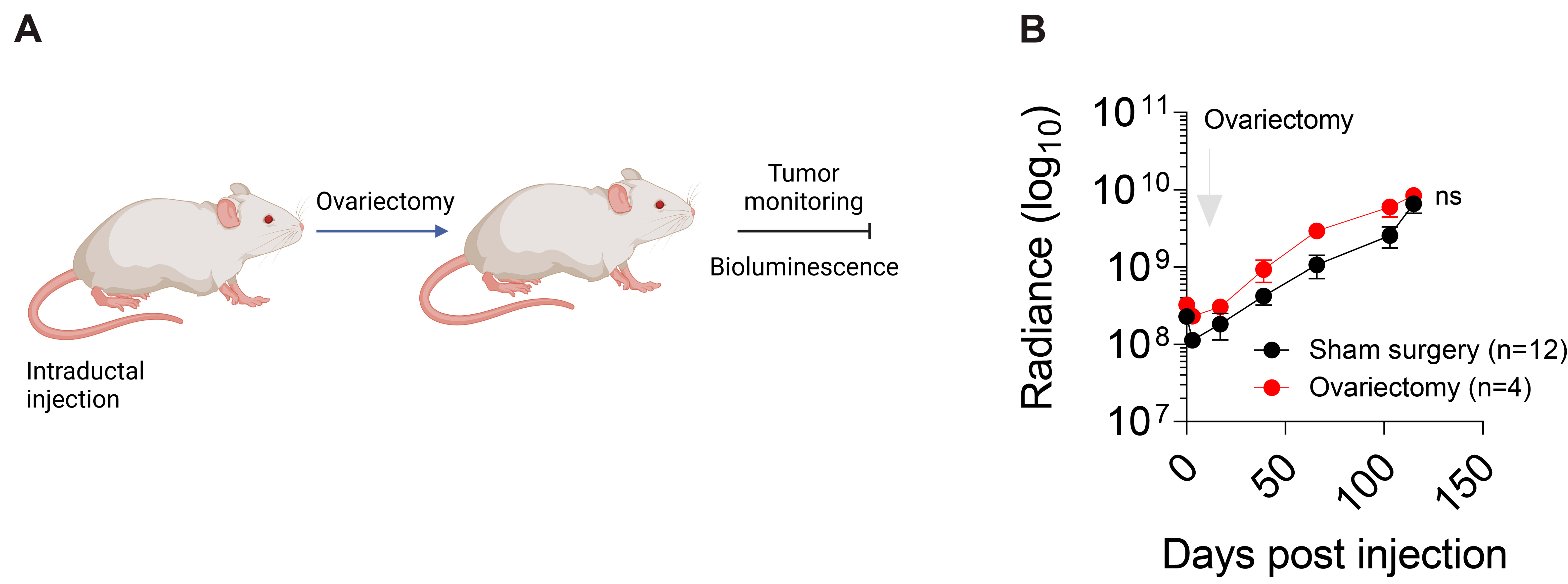 Cancers 15 03299 g008 Cancers 15 03299 g008