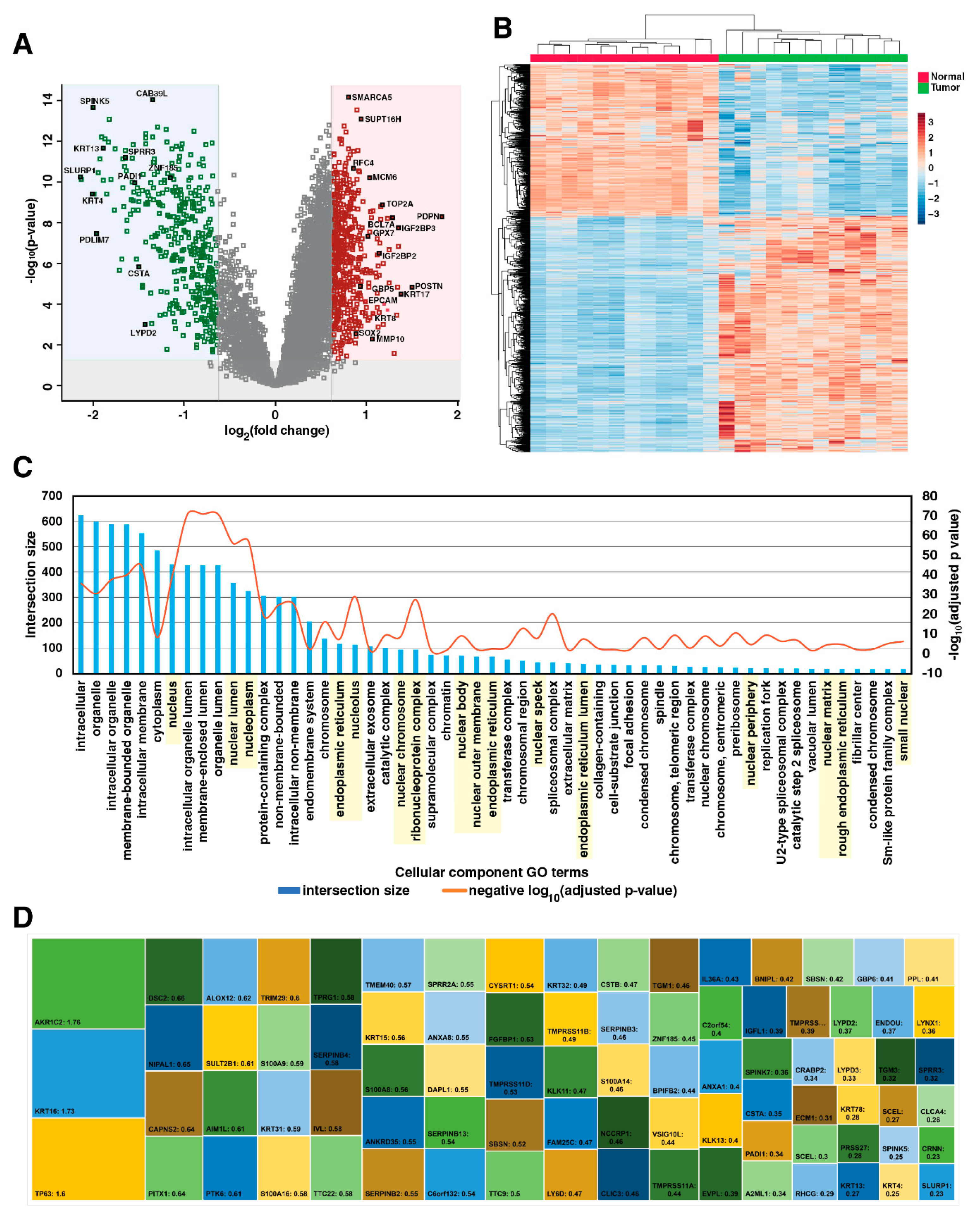 Cancers 15 03302 g002 Cancers 15 03302 g002