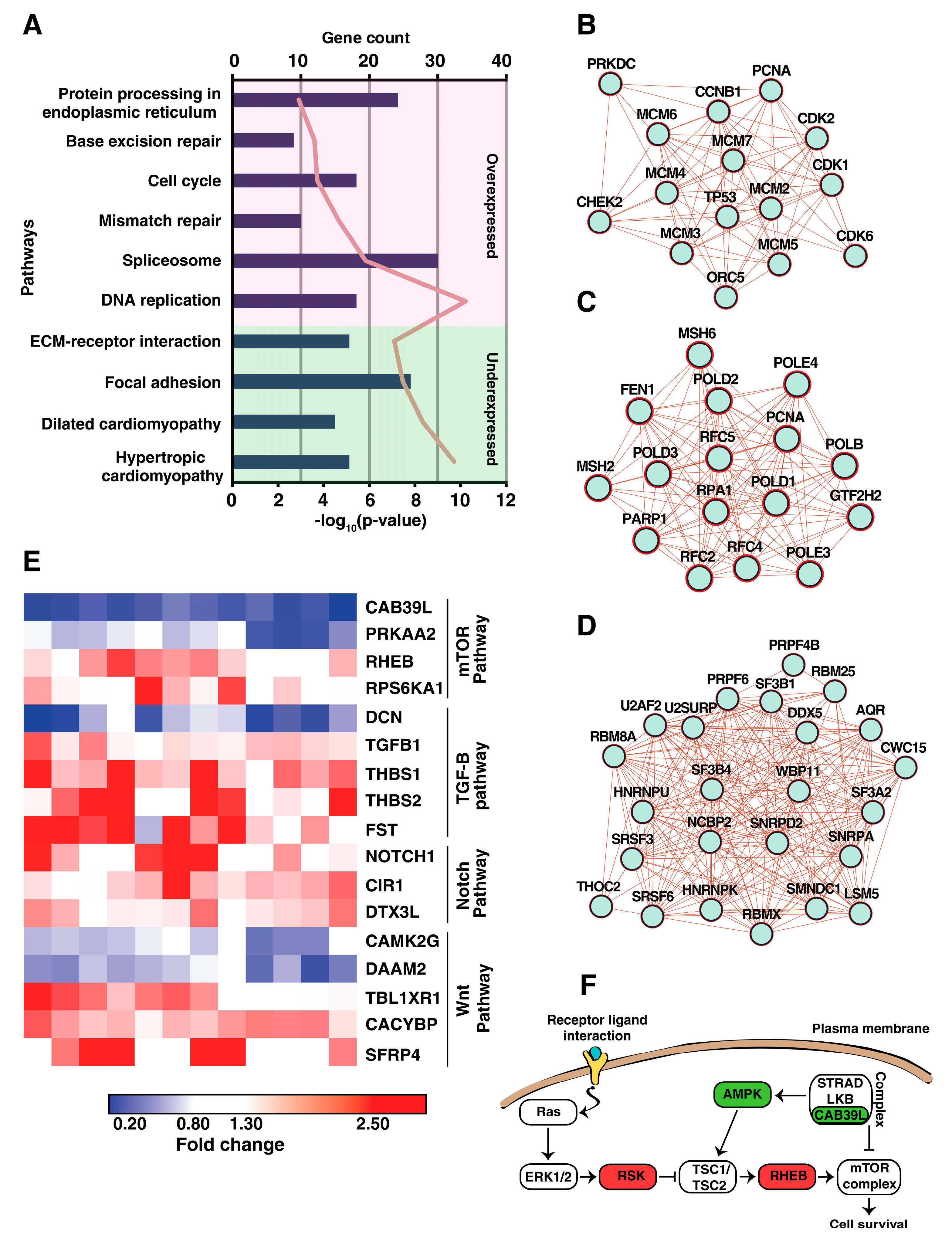 Cancers 15 03302 g004 Cancers 15 03302 g004