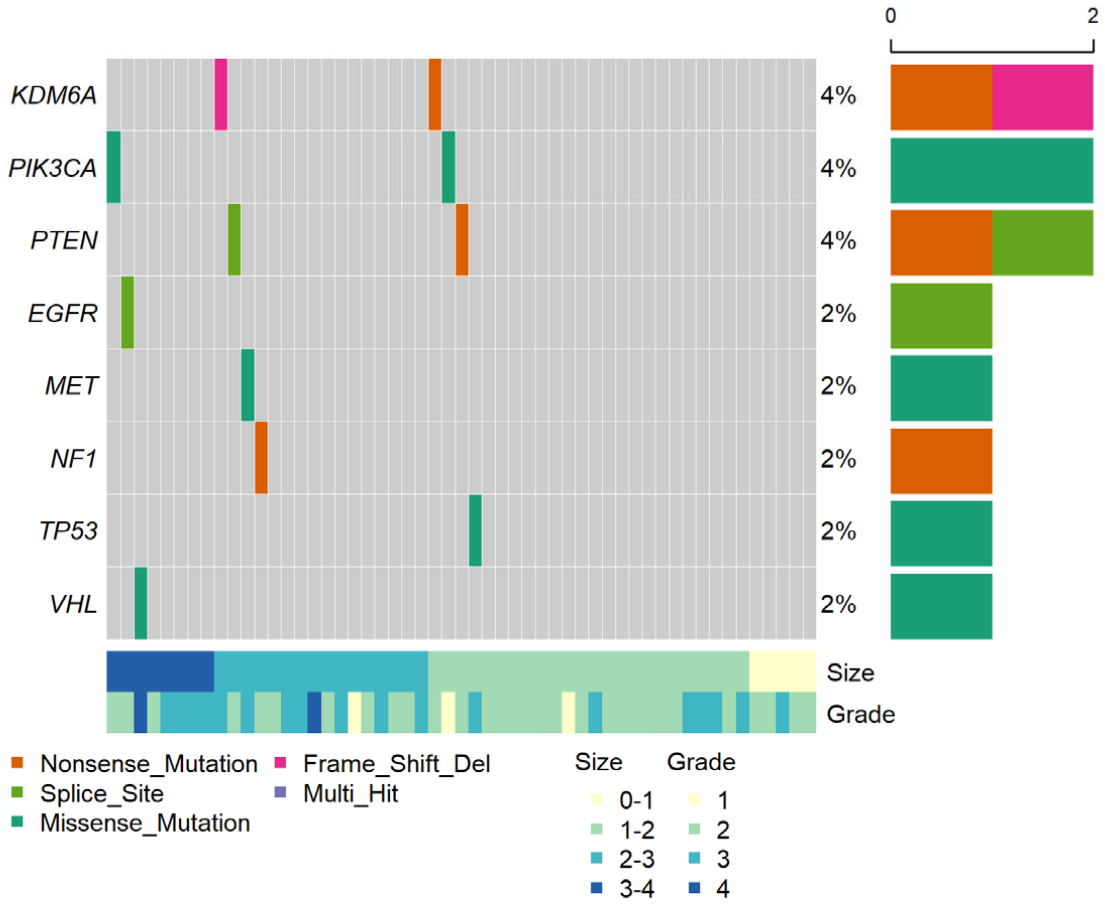 Cancers 15 03306 g001