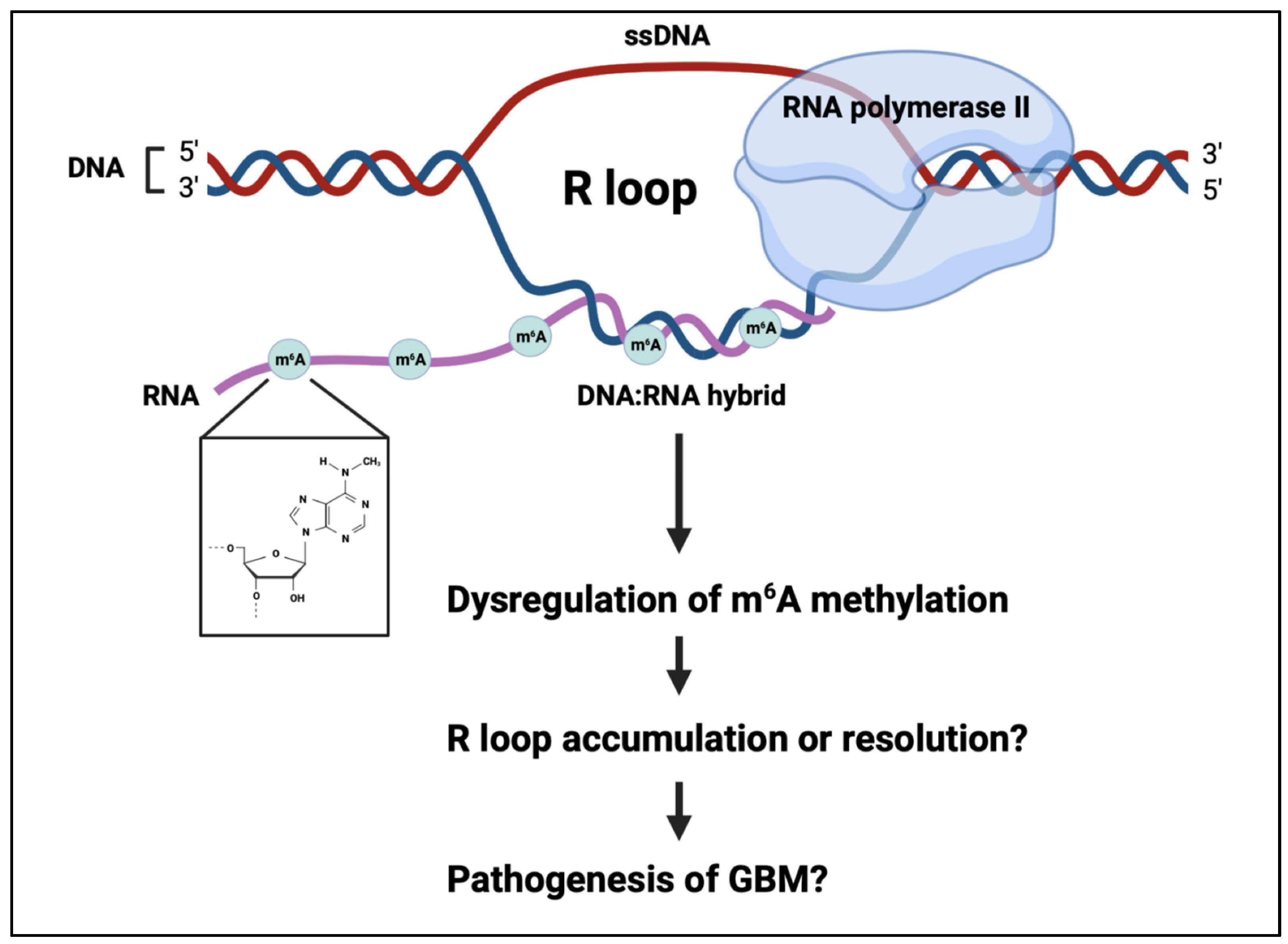 Cancers 15 03307 g002 Cancers 15 03307 g002