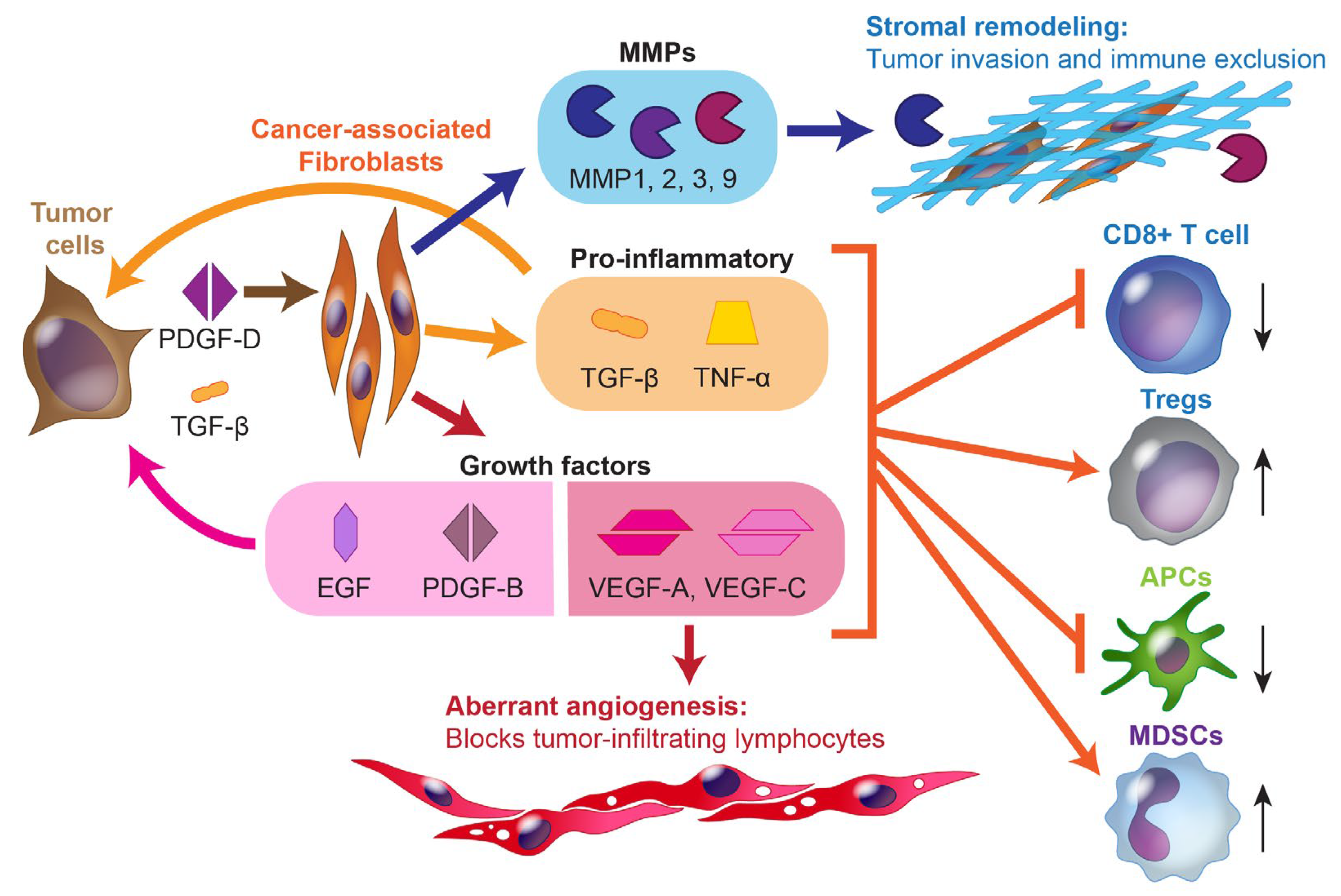 Cancers 15 03312 g001