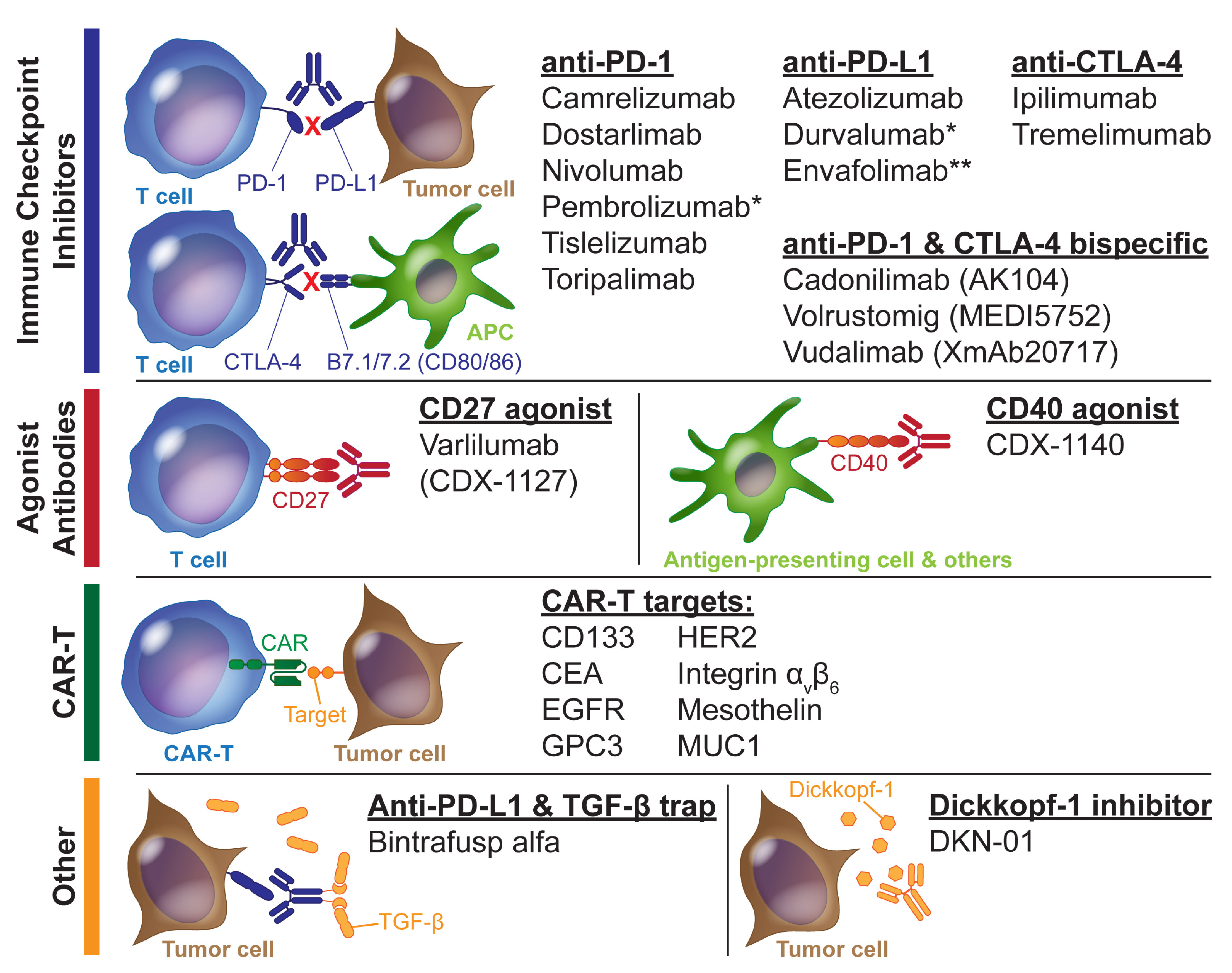 Cancers 15 03312 g002