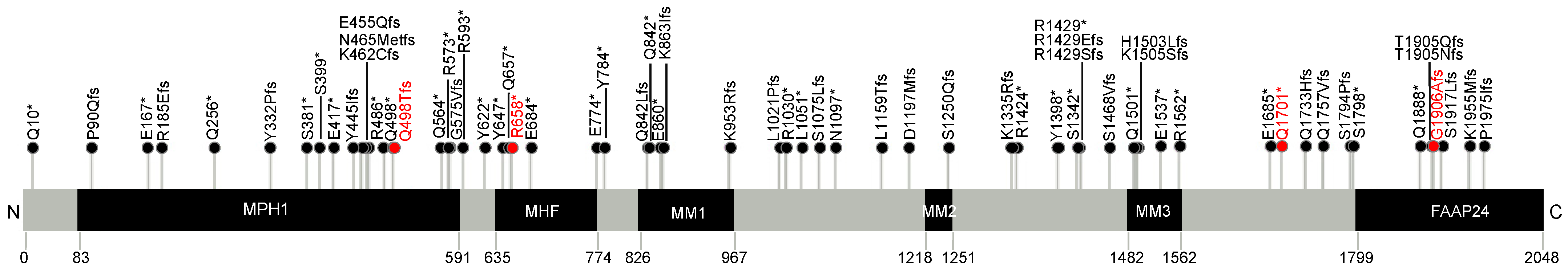 Cancers 15 03313 g001