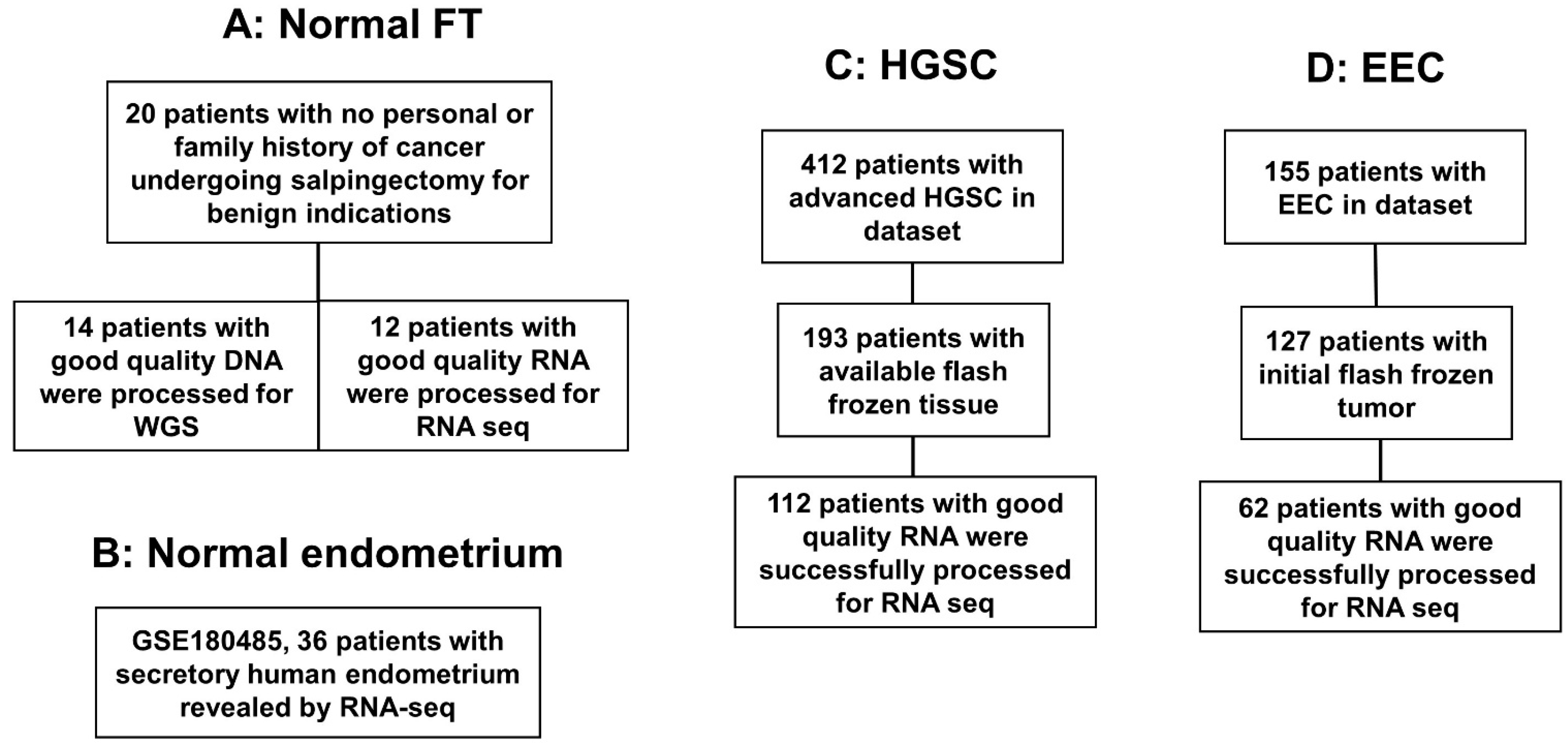 Cancers 15 03316 g001