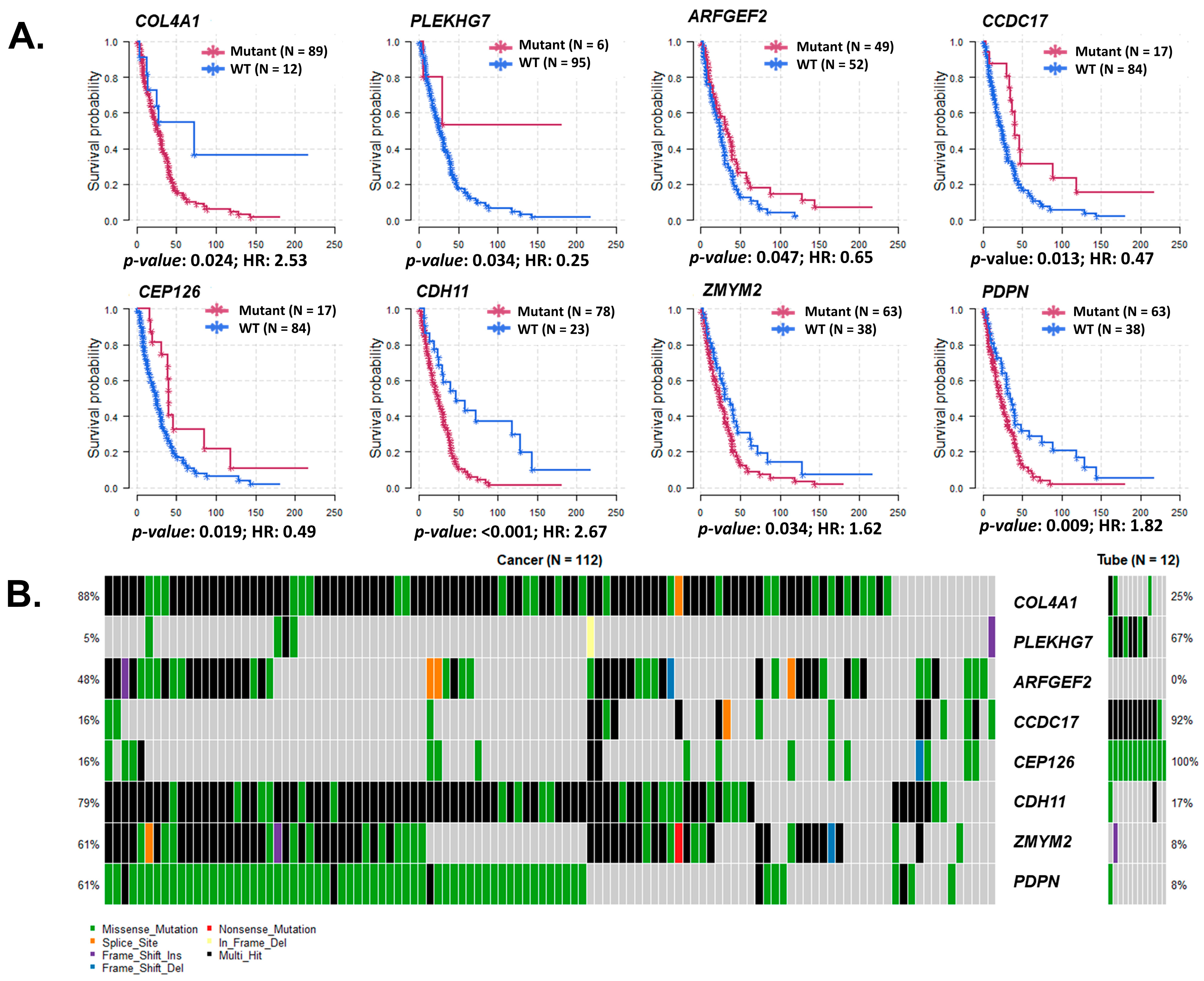 Cancers 15 03316 g005