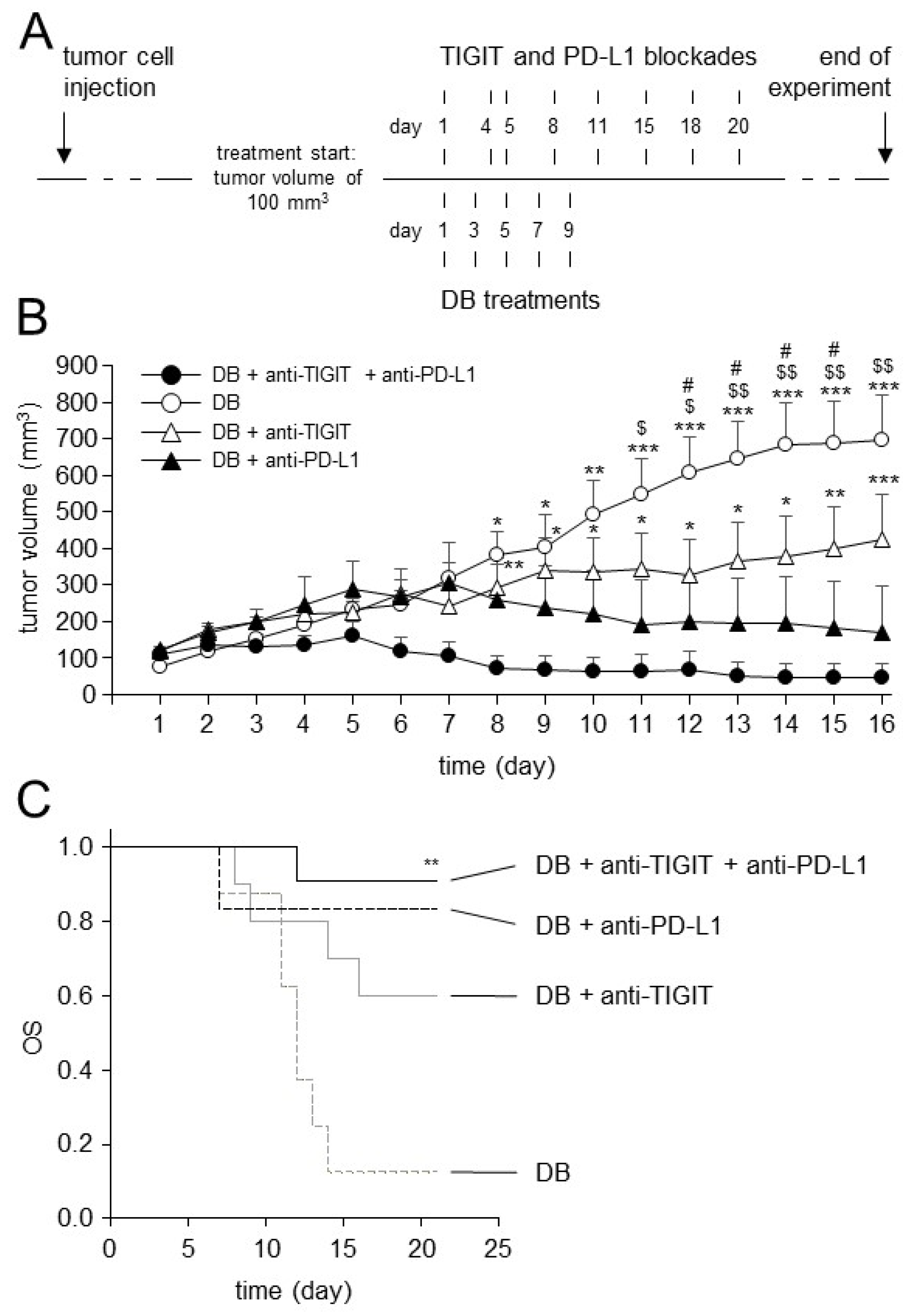 Cancers 15 03317 g007
