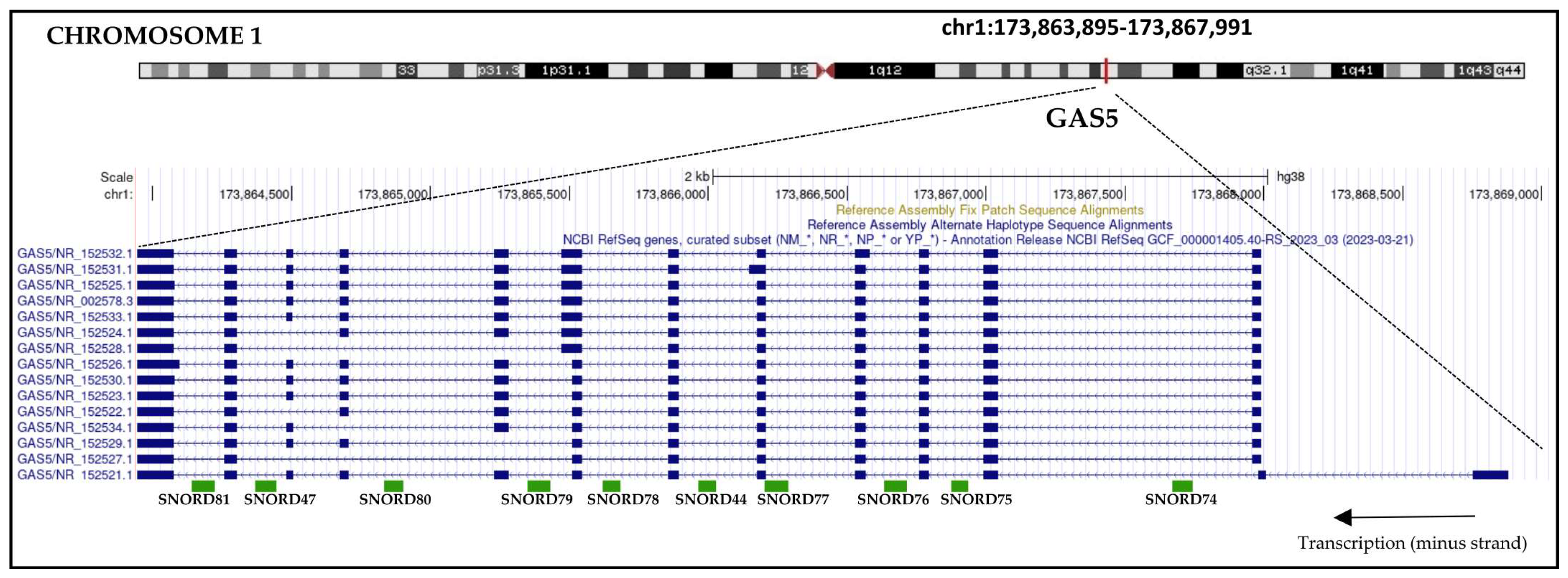 Cancers 15 03318 g001