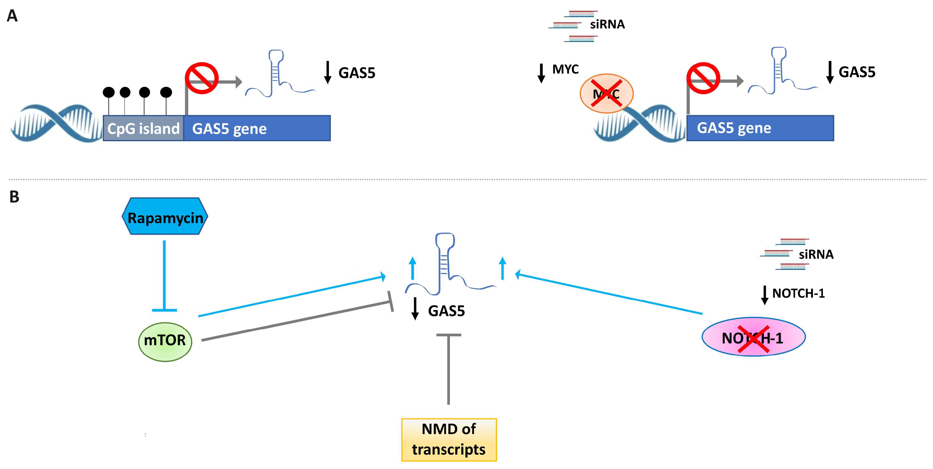Cancers 15 03318 g004