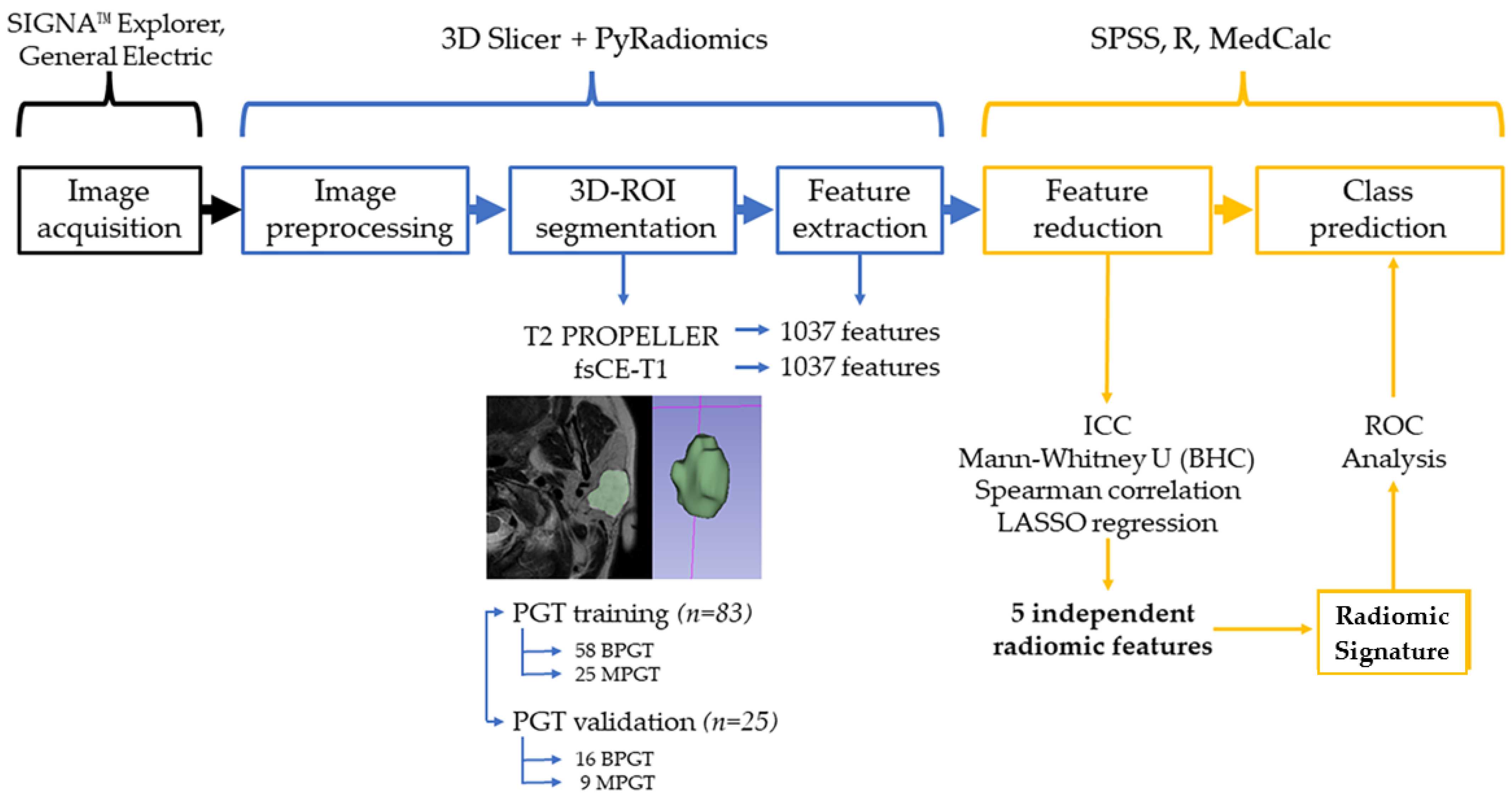 Cancers 15 03319 g002 Cancers 15 03319 g002