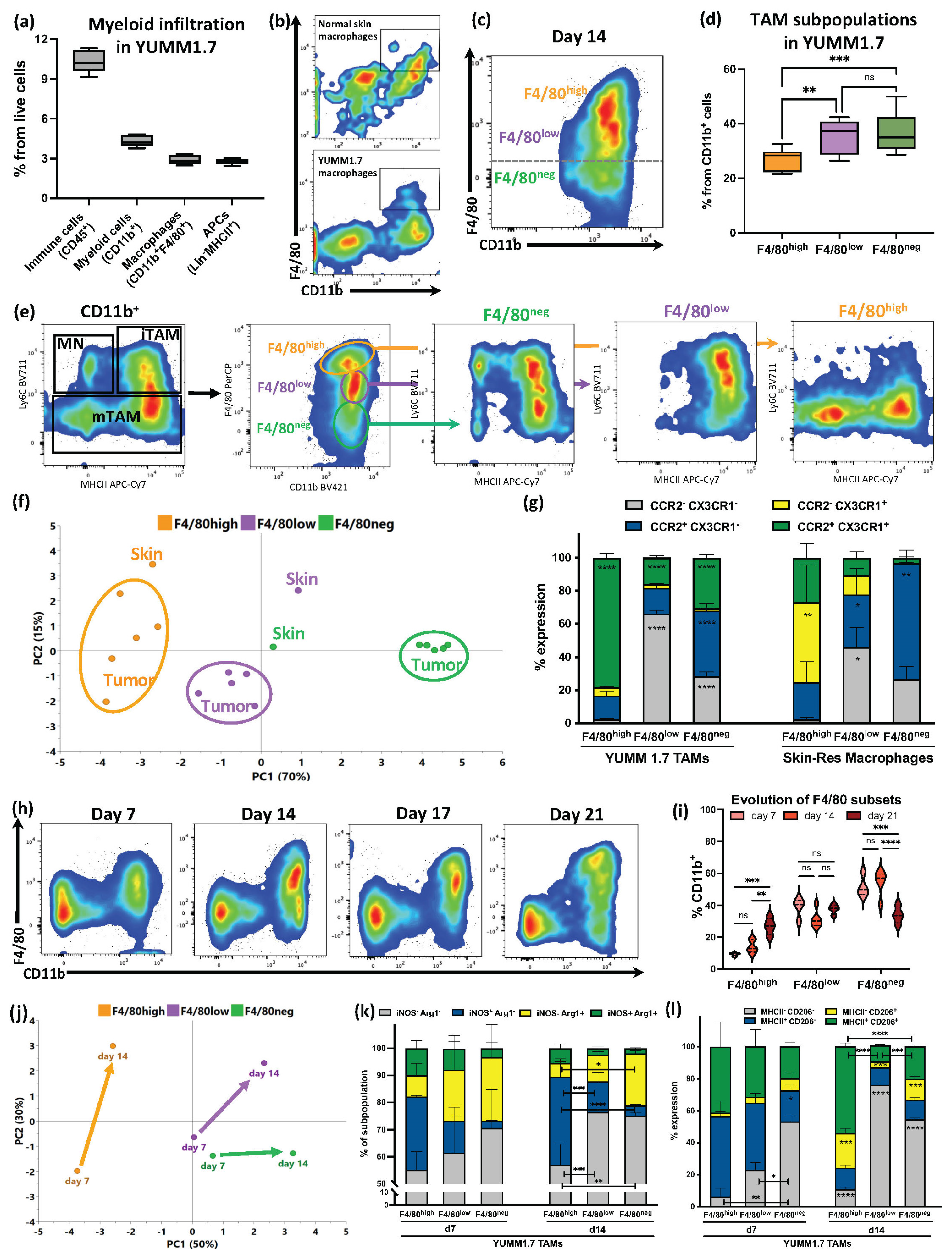 Cancers 15 03330 g001 Cancers 15 03330 g001