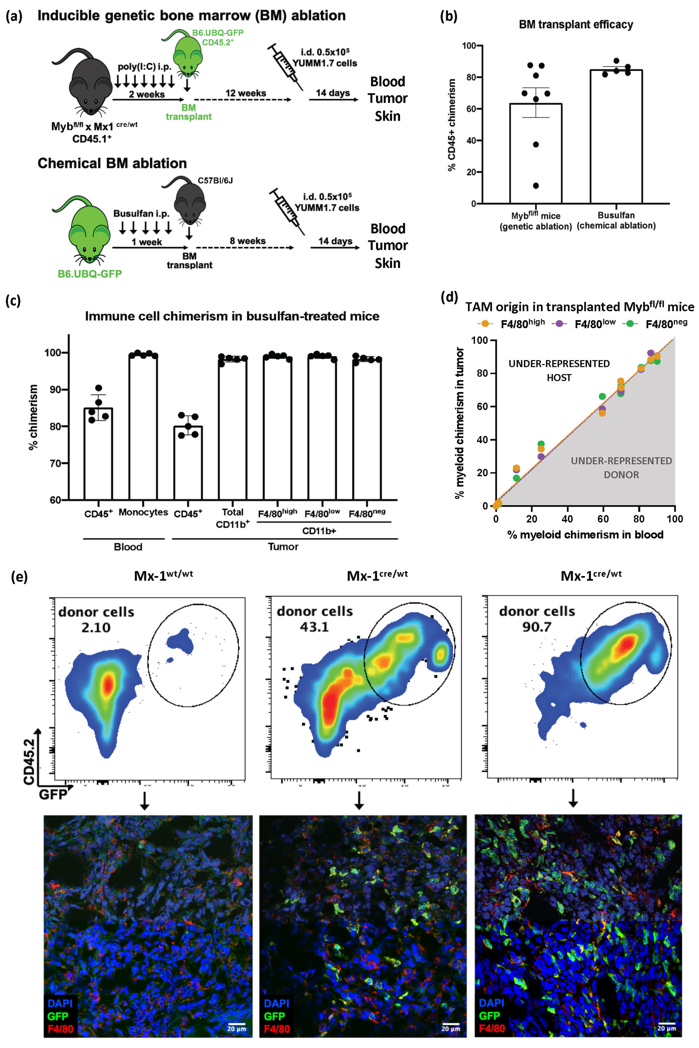 Cancers 15 03330 g002 Cancers 15 03330 g002