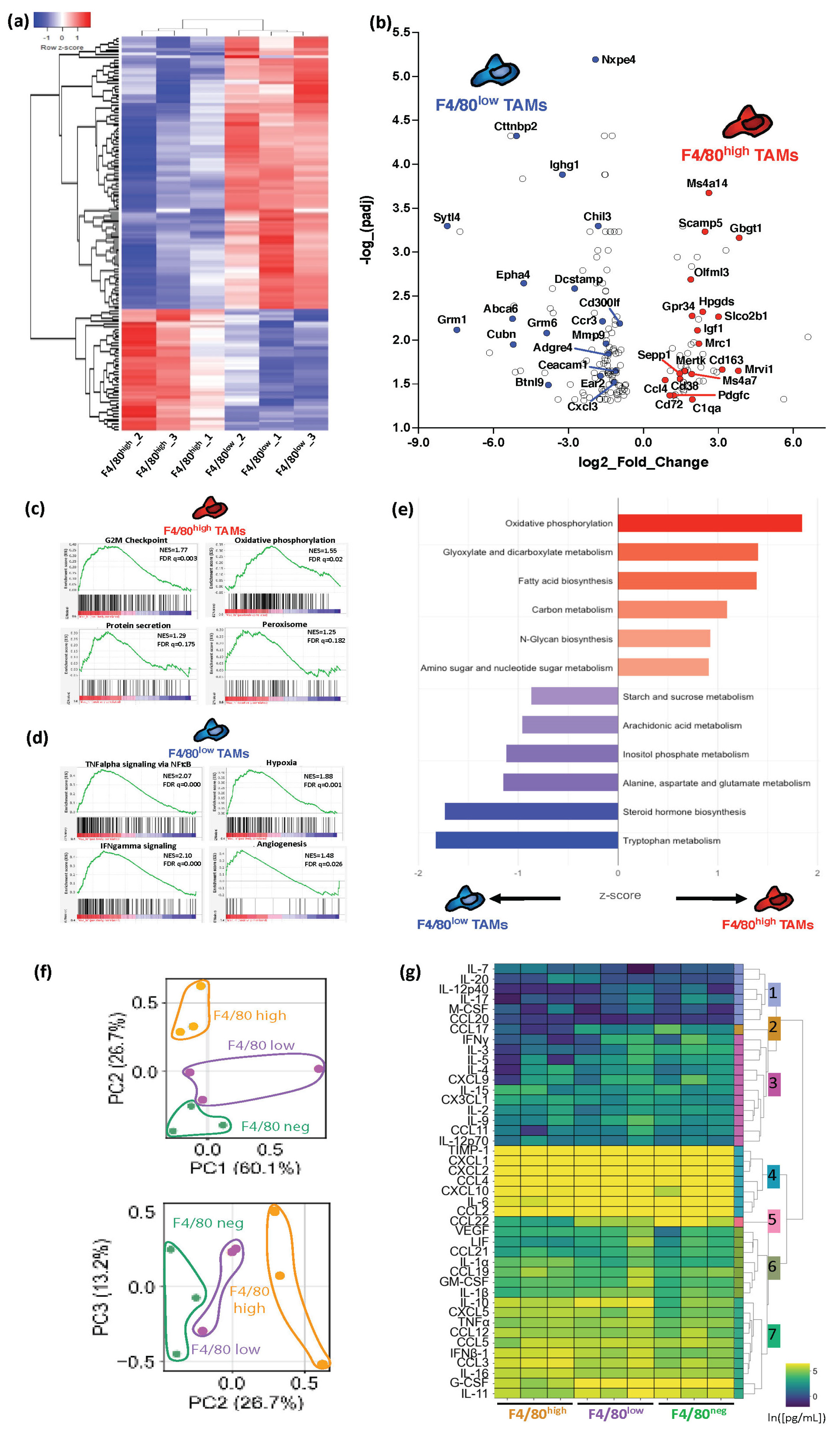 Cancers 15 03330 g003 Cancers 15 03330 g003