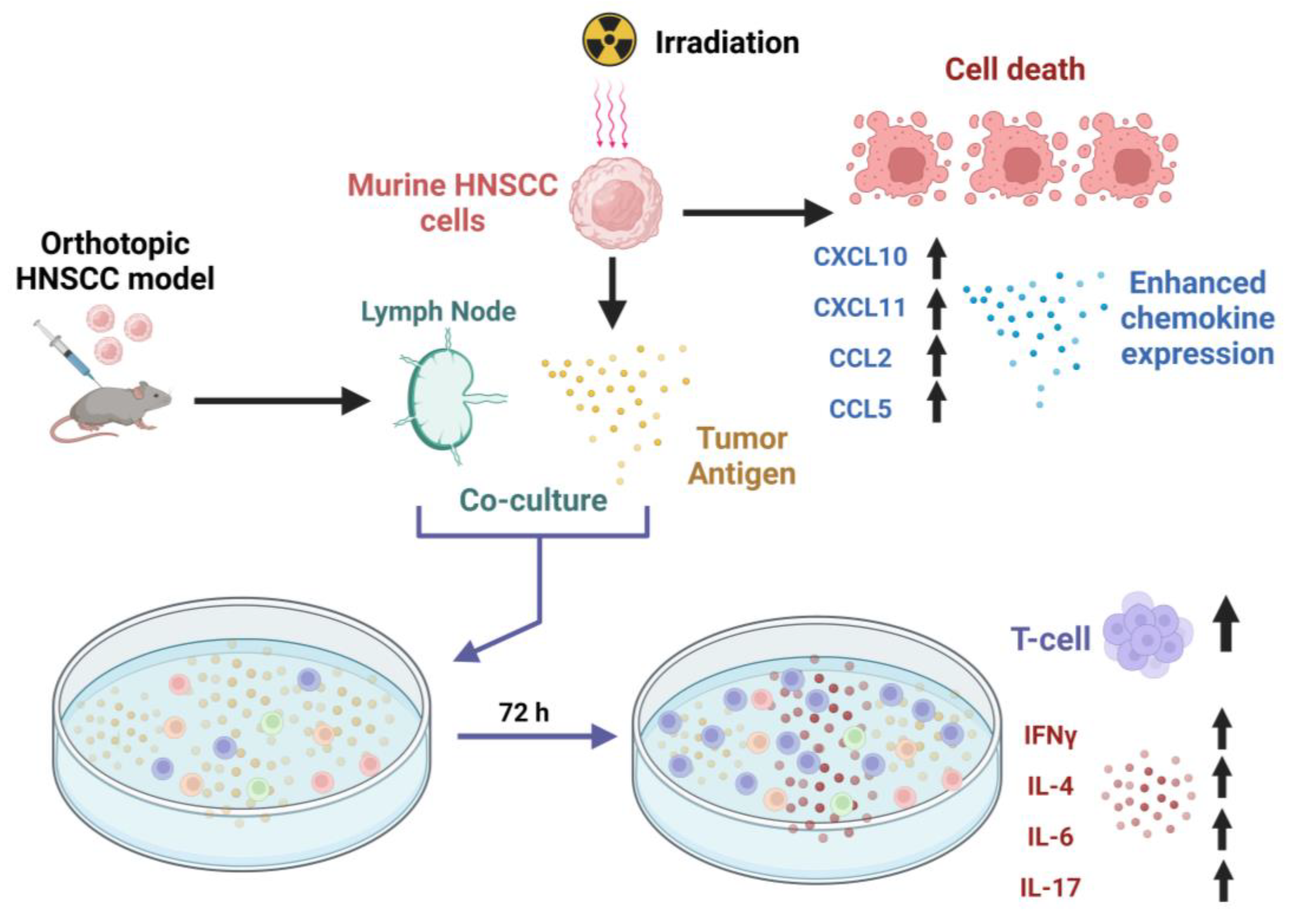 Cancers 15 03334 g006 Cancers 15 03334 g006