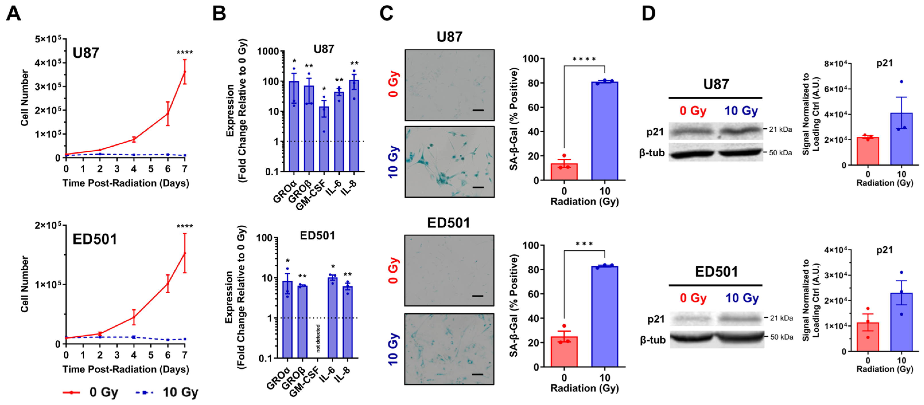Cancers 15 03341 g001 Cancers 15 03341 g001