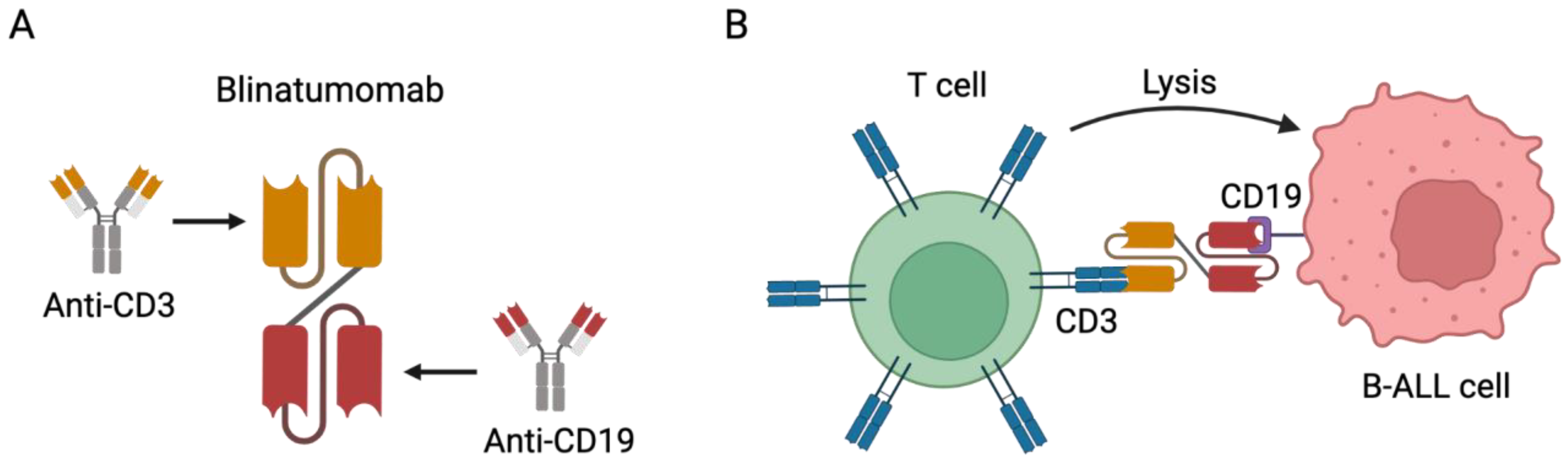 Cancers 15 03346 g001
