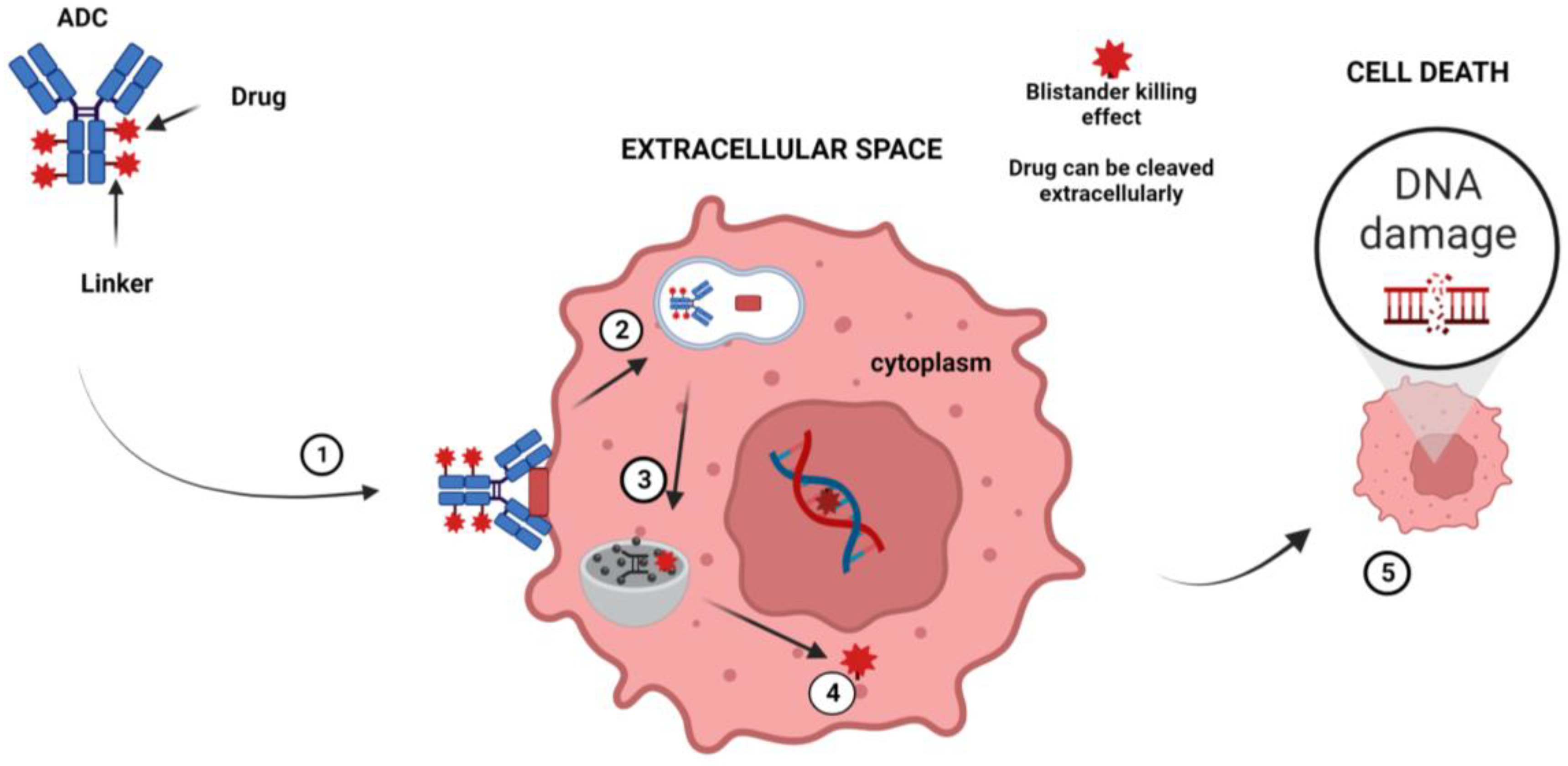 Cancers 15 03346 g002