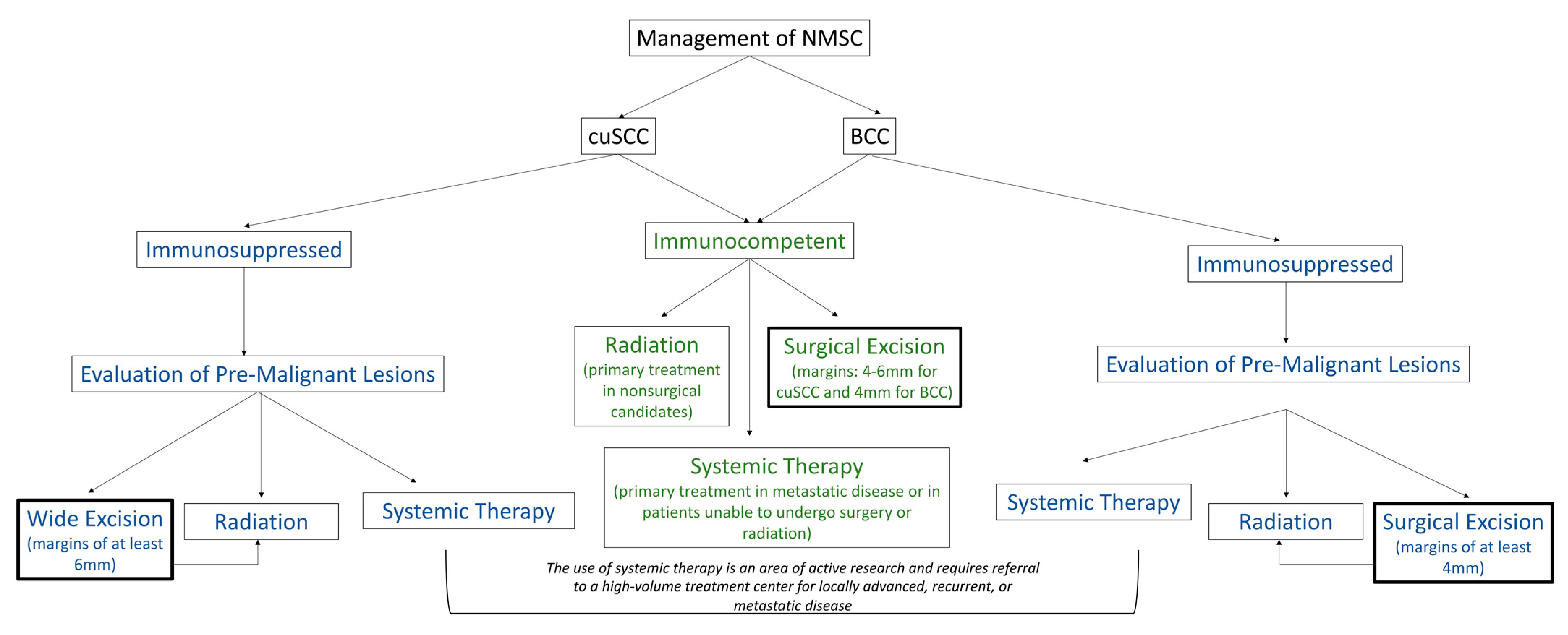 Cancers 15 03348 g001 Cancers 15 03348 g001
