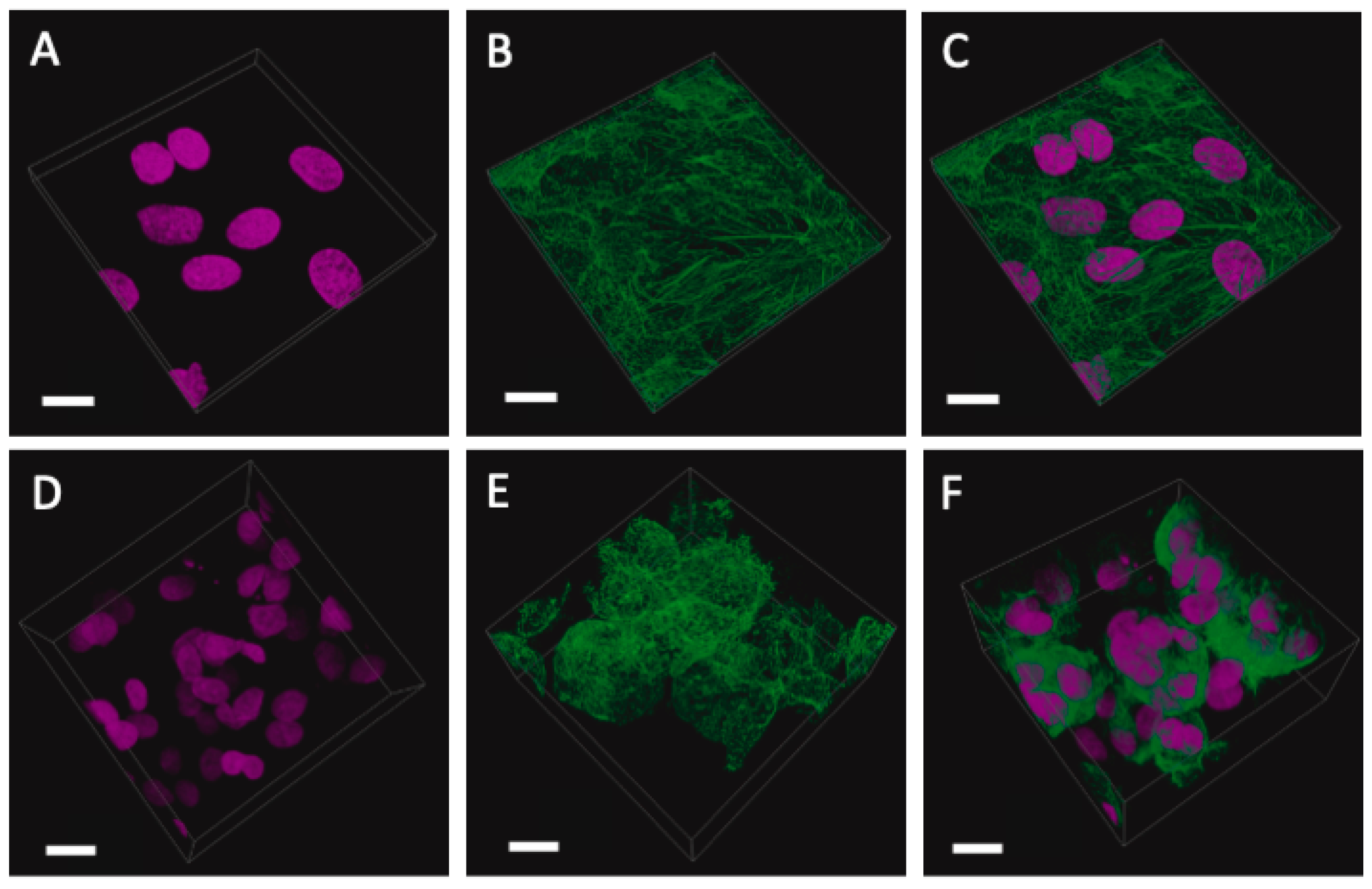 Cancers 15 03350 g010