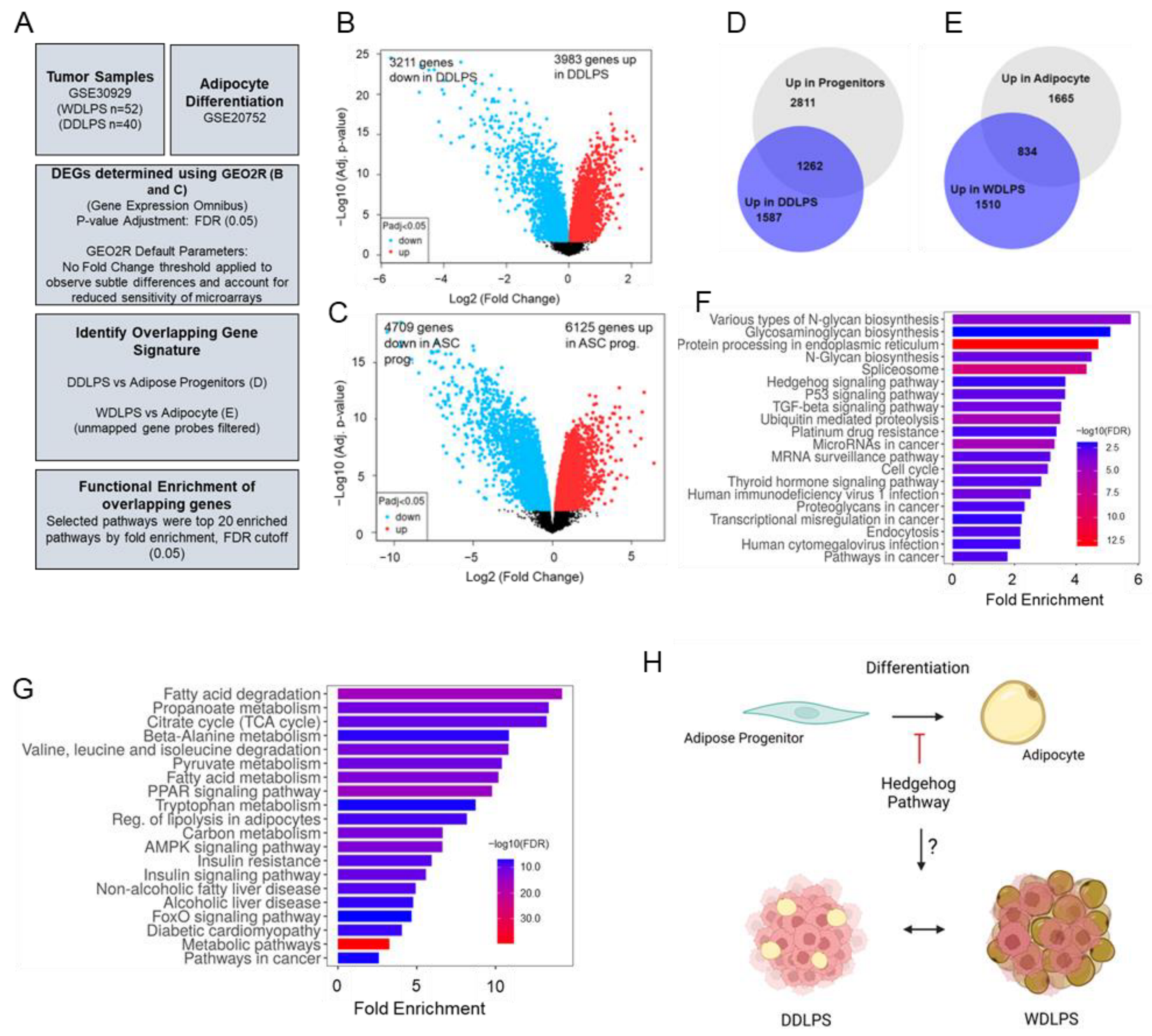 Cancers 15 03360 g001 Cancers 15 03360 g001