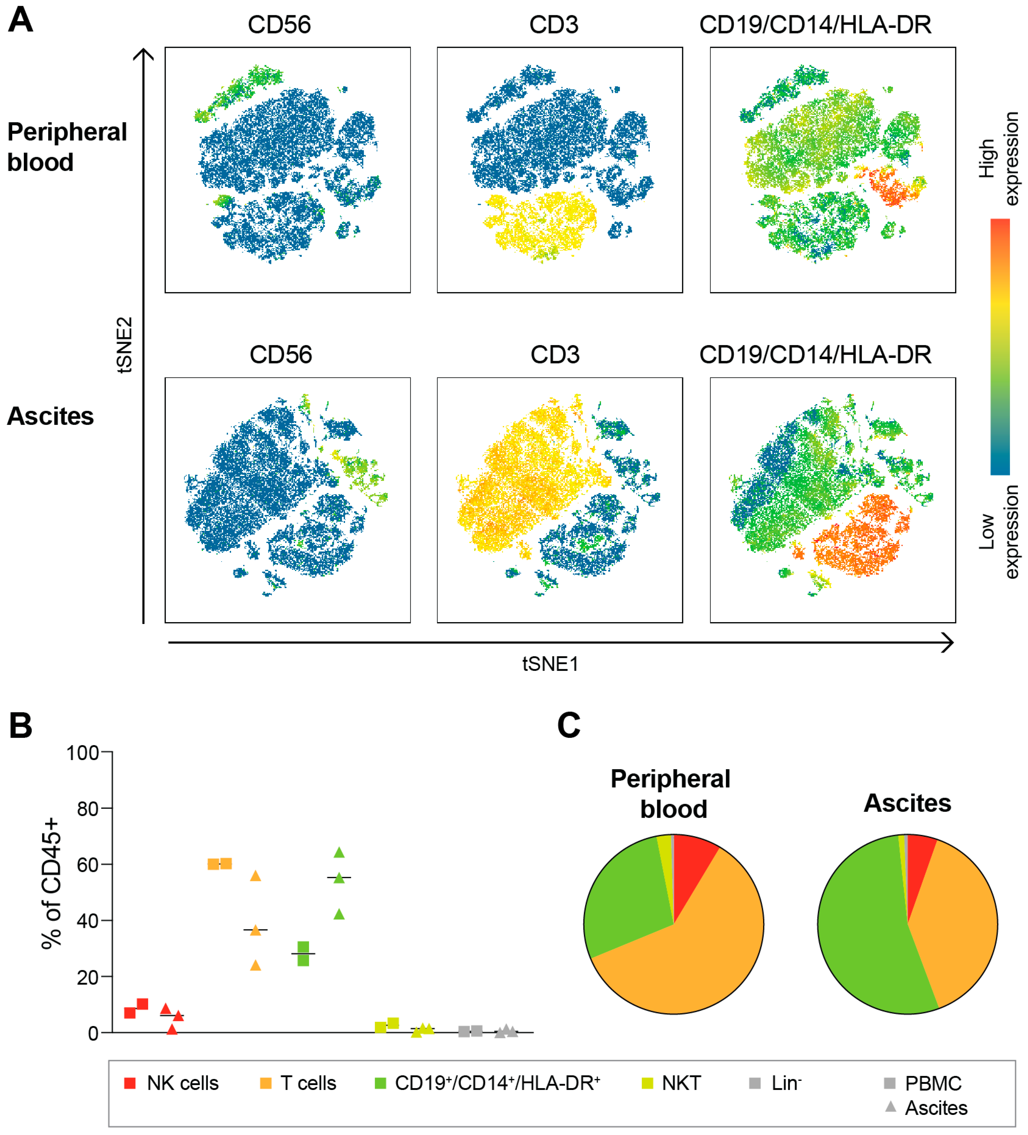 Cancers 15 03362 g001 Cancers 15 03362 g001