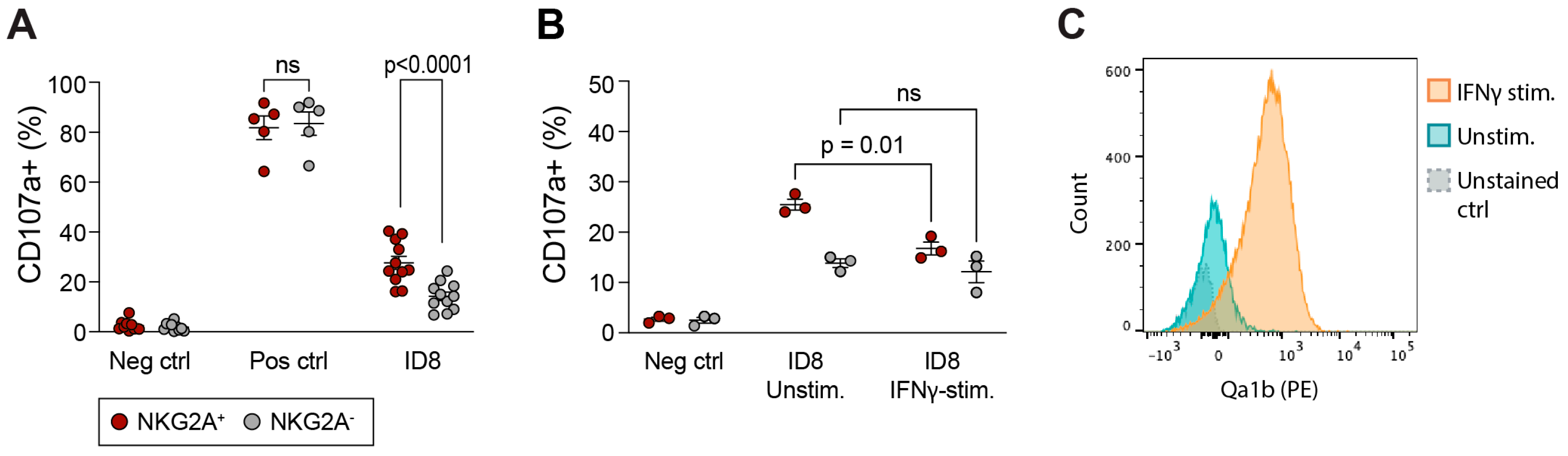Cancers 15 03362 g008 Cancers 15 03362 g008
