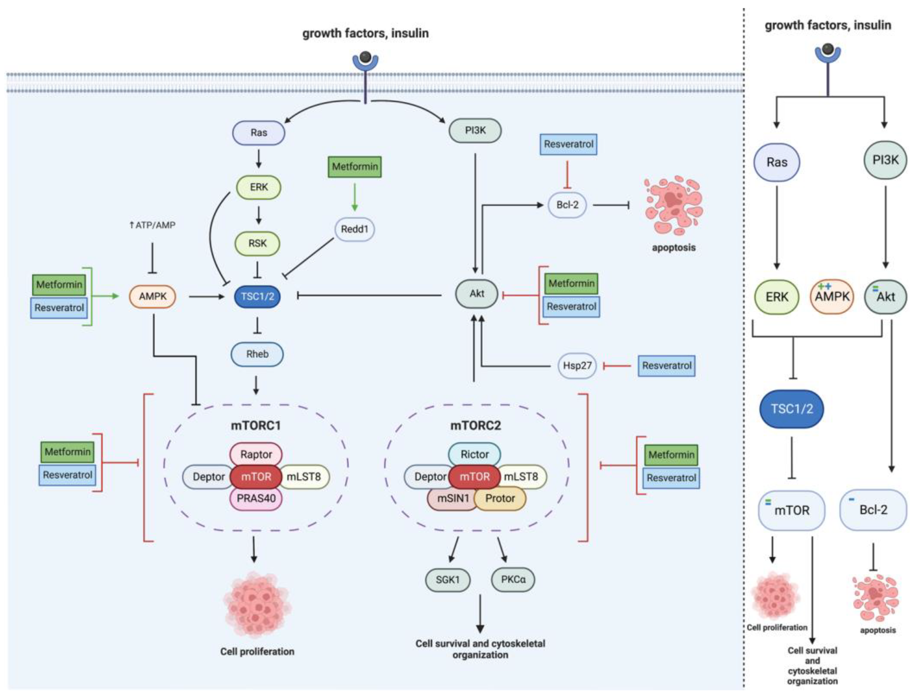 Cancers 15 03368 g002 Cancers 15 03368 g002