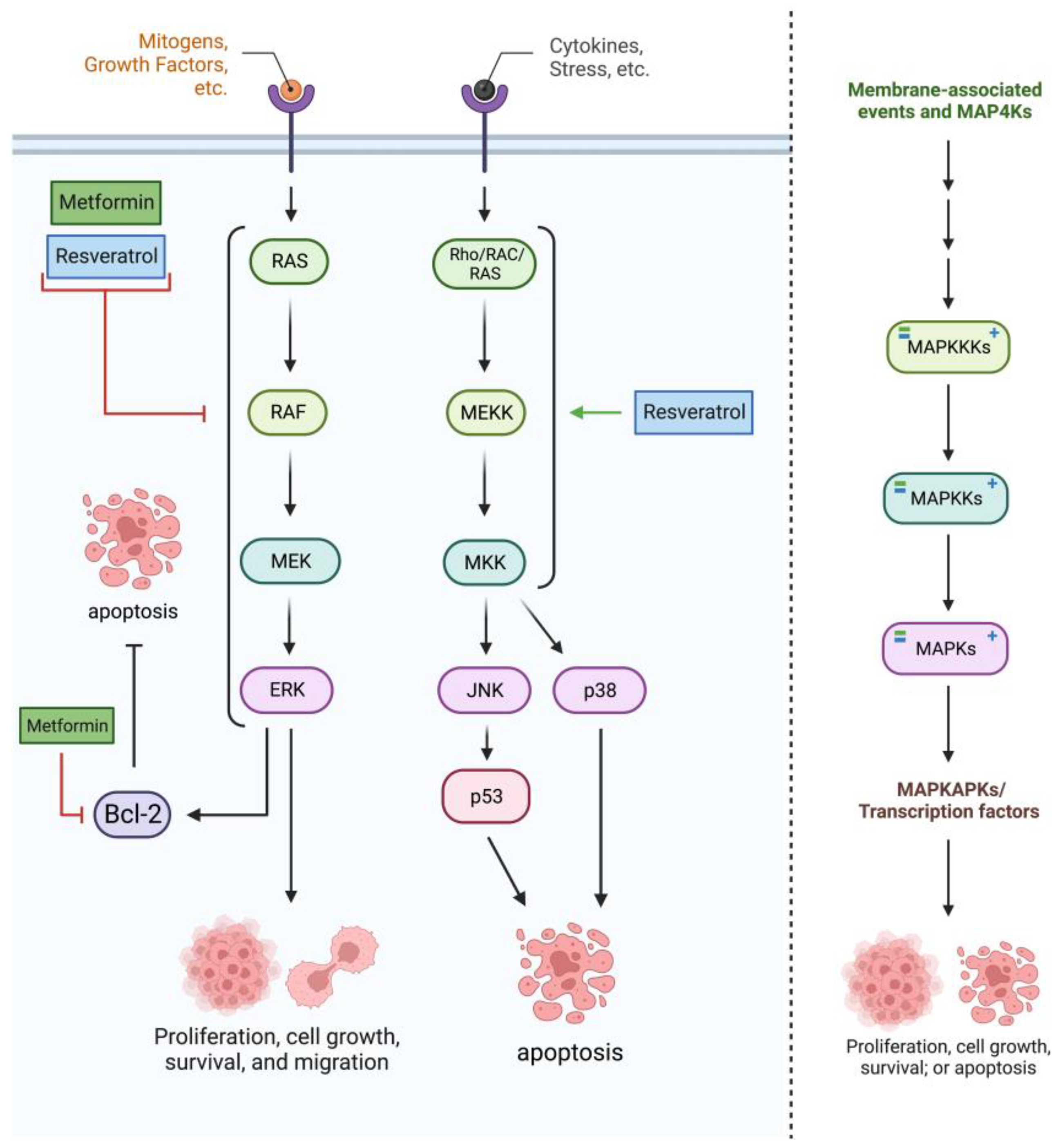 Cancers 15 03368 g003 Cancers 15 03368 g003