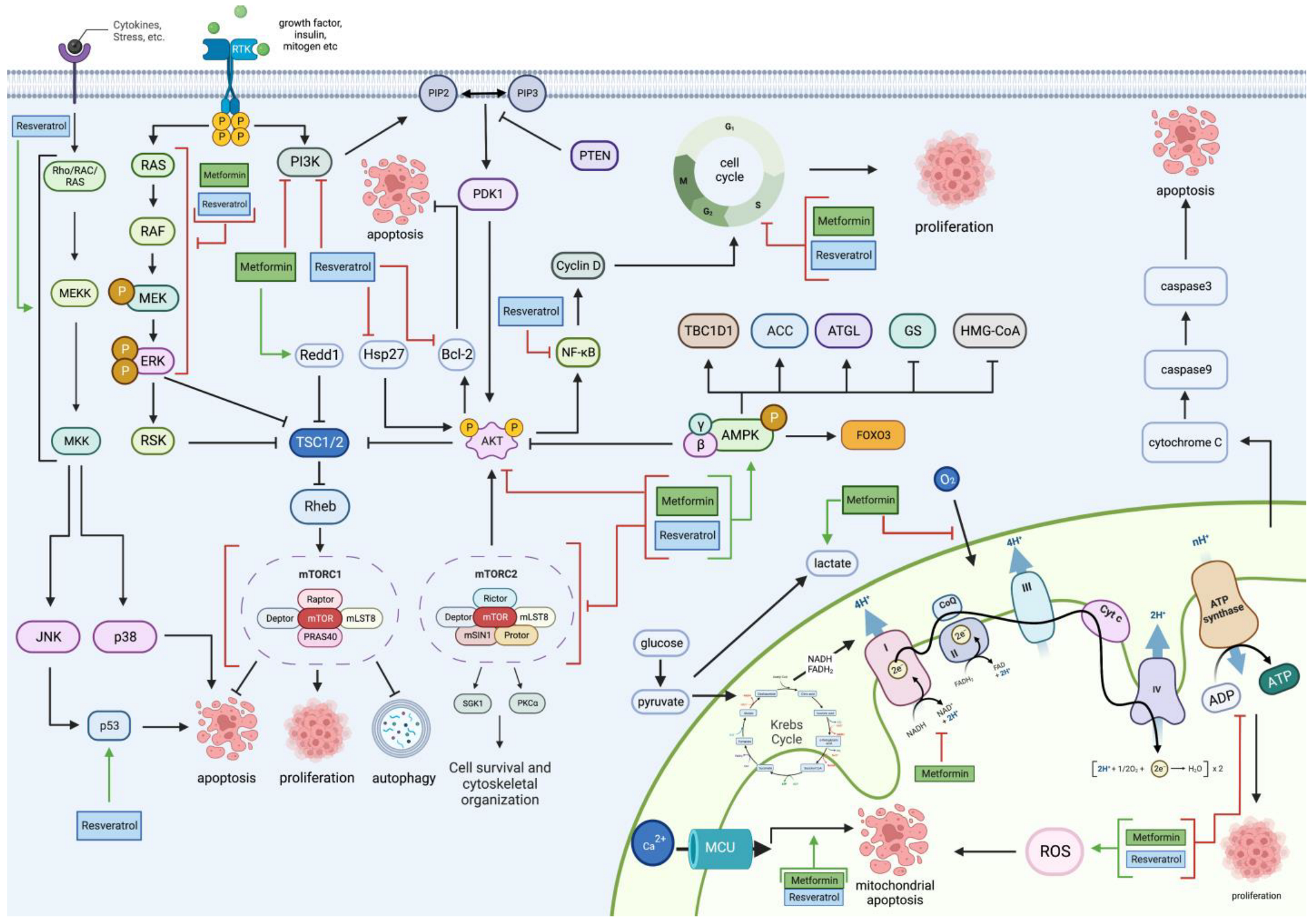 Cancers 15 03368 g006 Cancers 15 03368 g006
