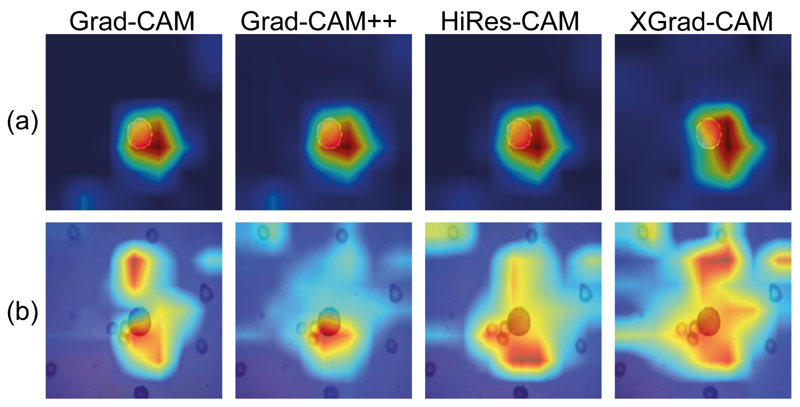 Cancers 15 03376 g008 Cancers 15 03376 g008