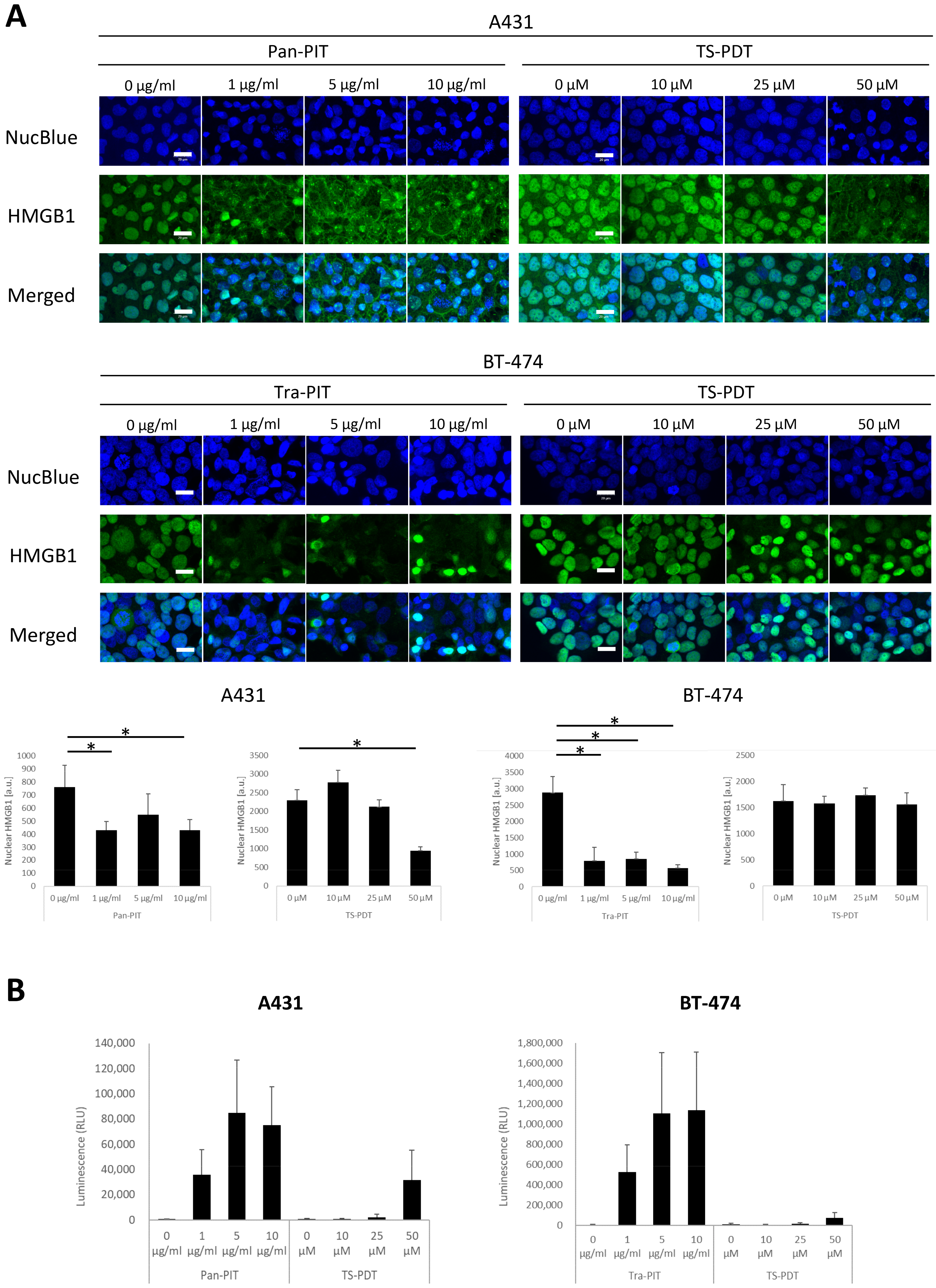 Cancers 15 03400 g004 Cancers 15 03400 g004