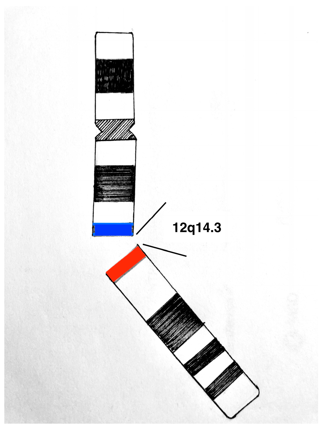 Cancers 15 03403 g002 Cancers 15 03403 g002