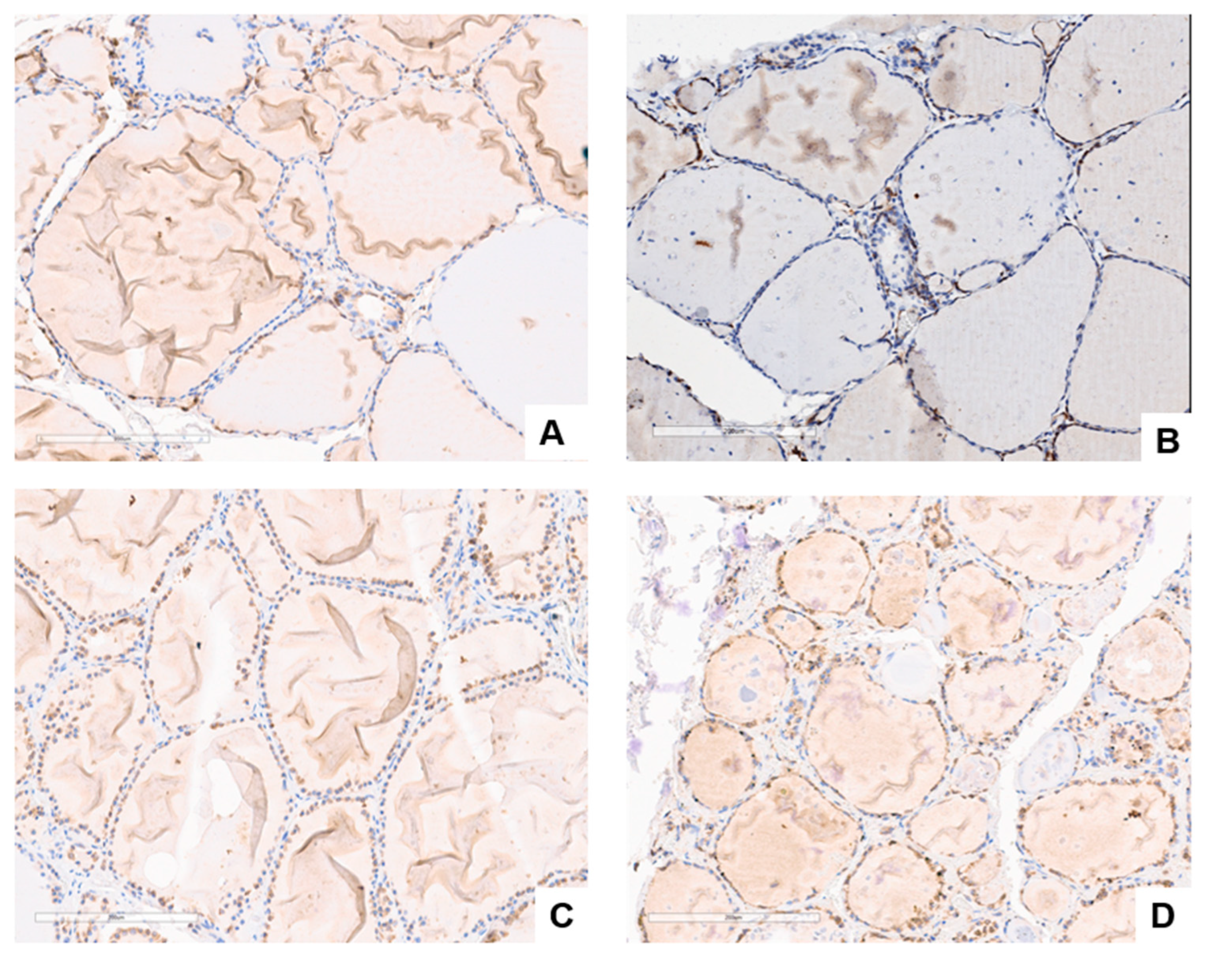 Cancers 15 03404 g001