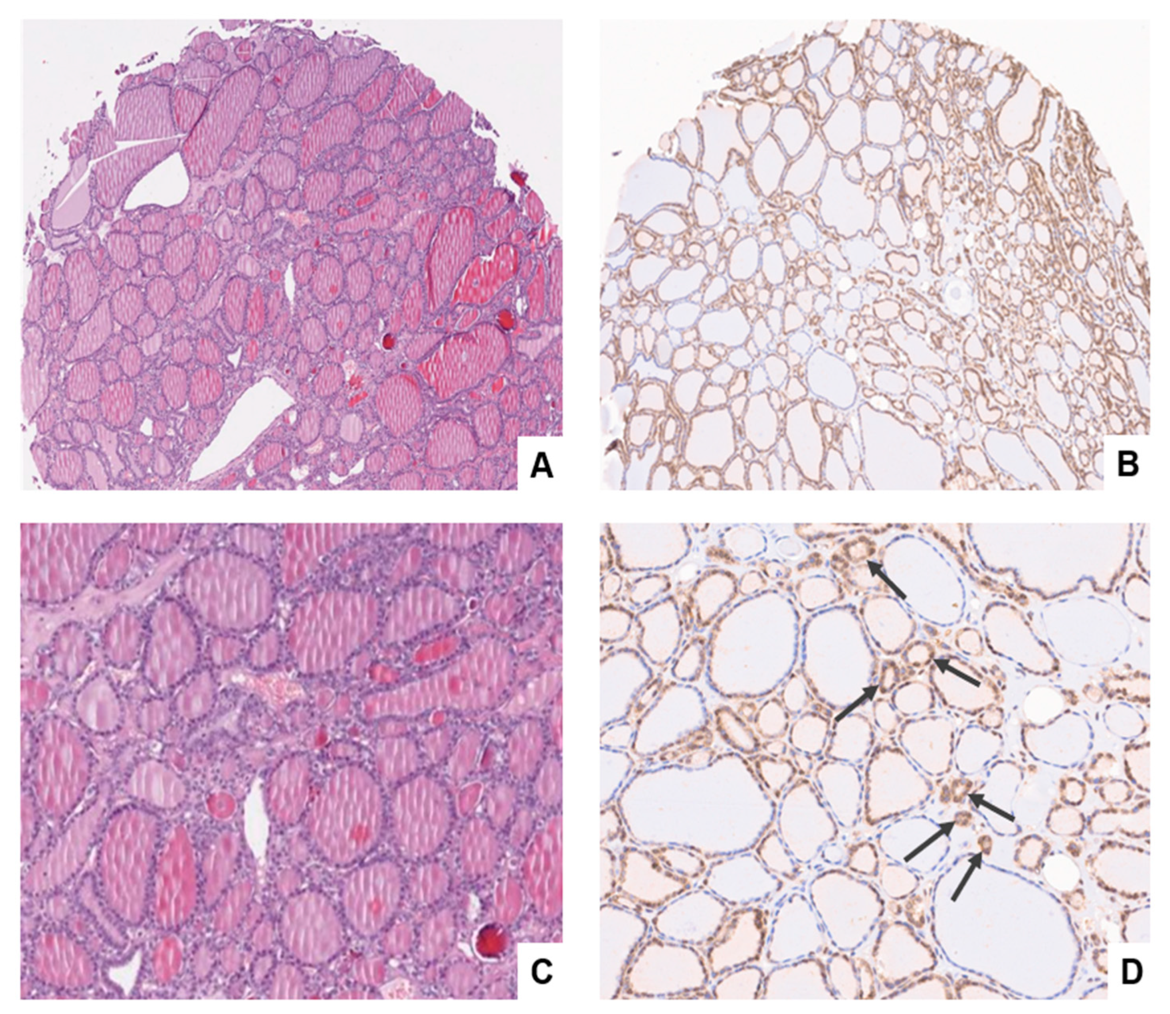 Cancers 15 03404 g003