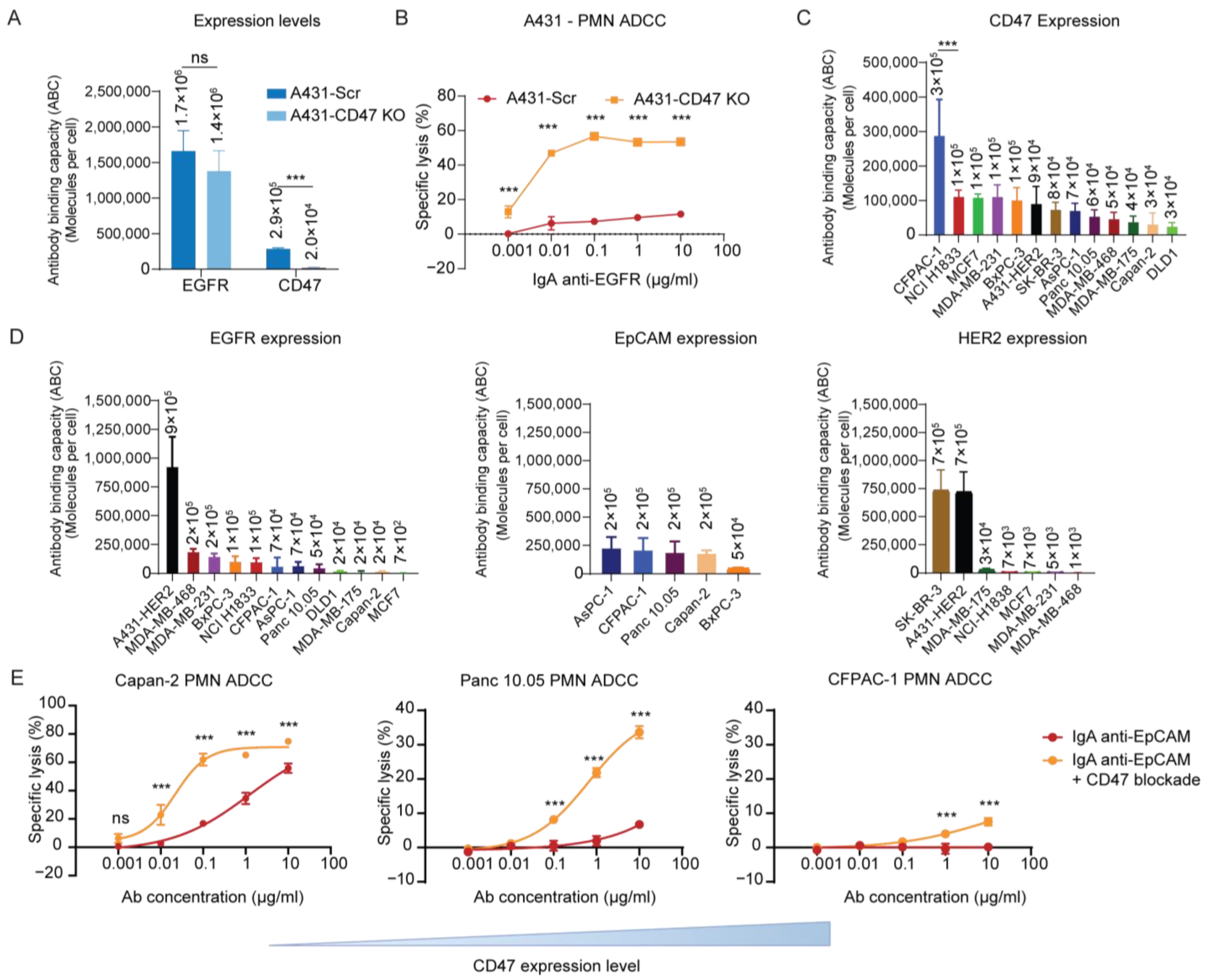Cancers 15 03405 g001