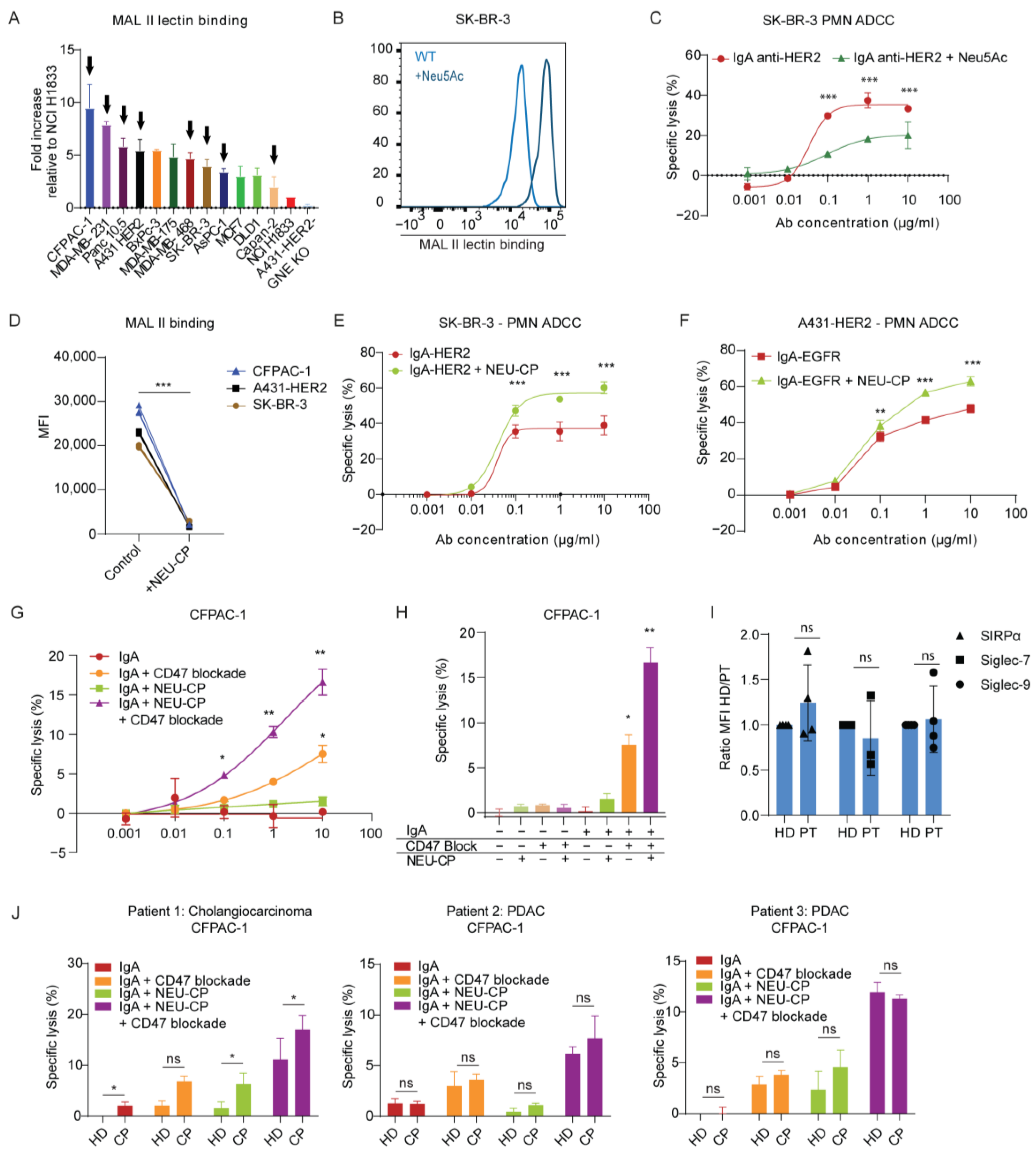 Cancers 15 03405 g002
