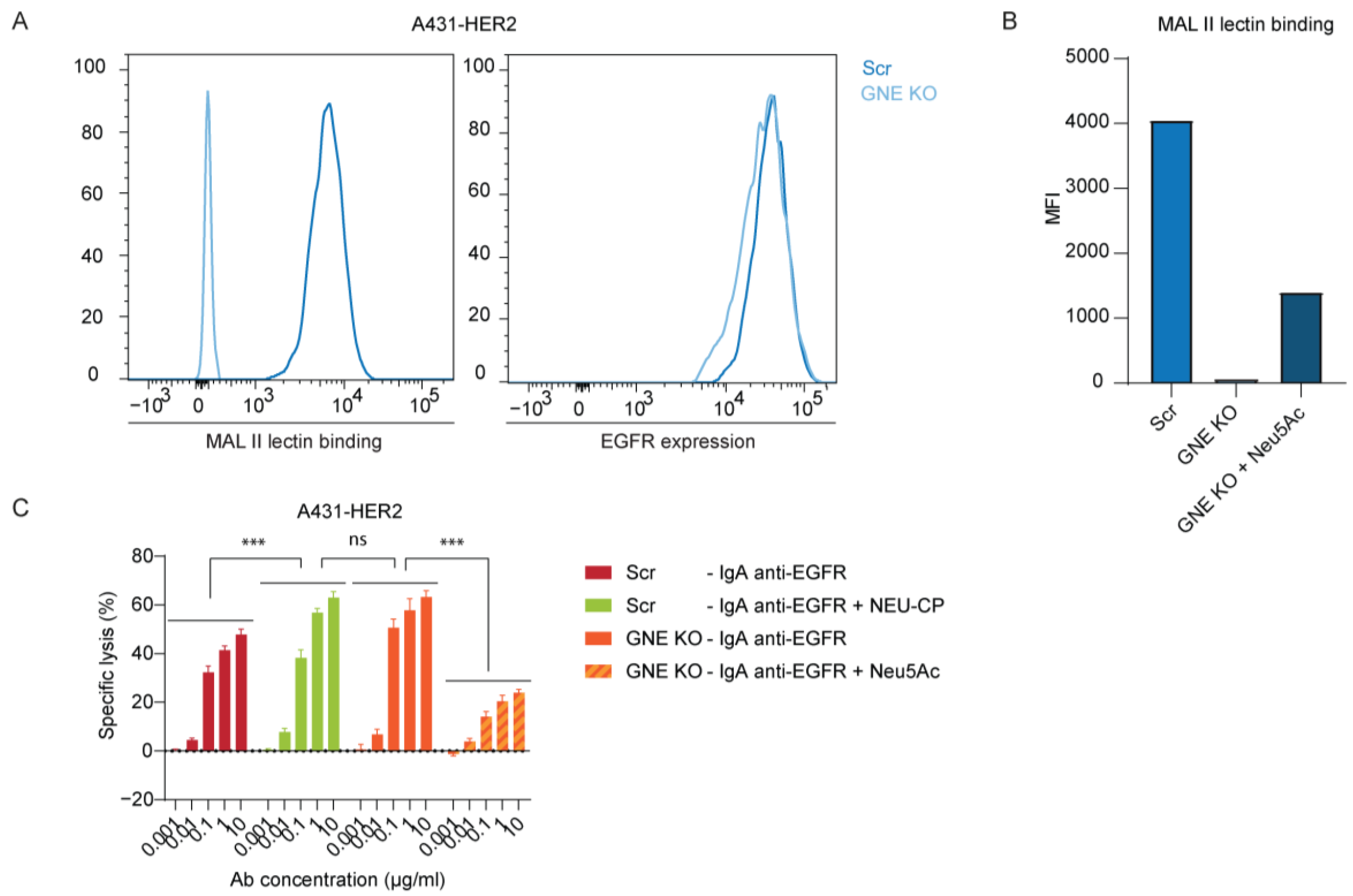 Cancers 15 03405 g003