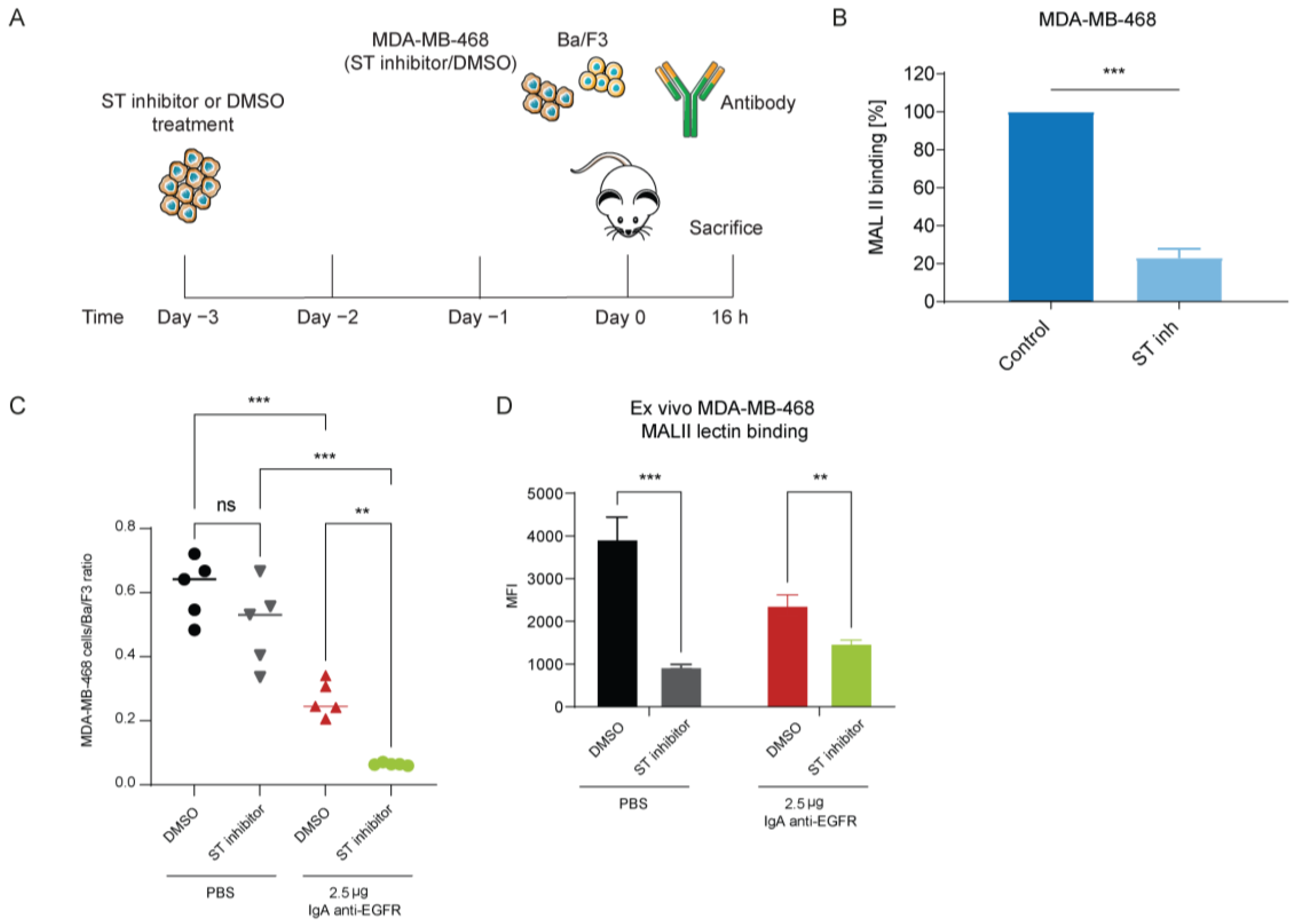 Cancers 15 03405 g006