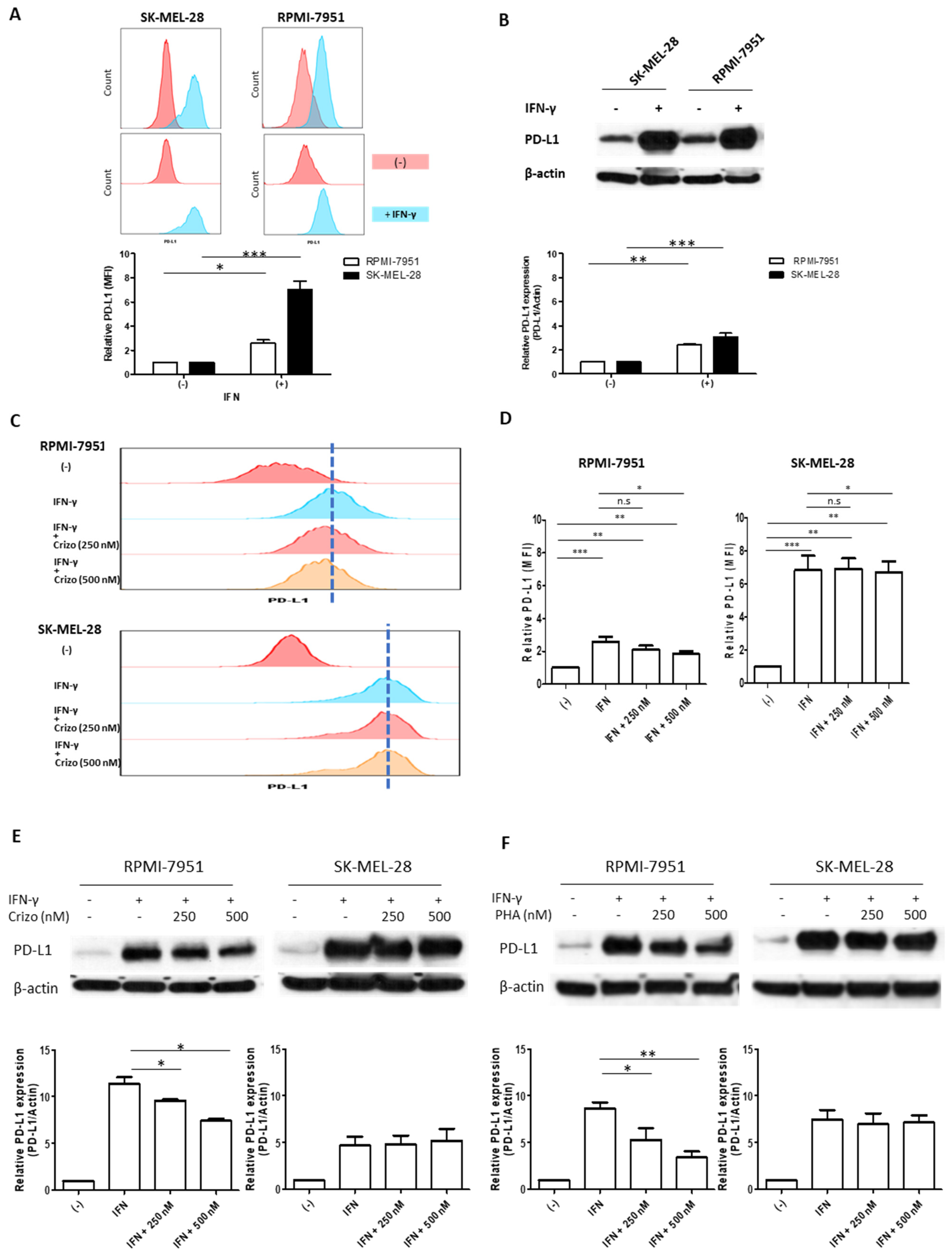 Cancers 15 03408 g001