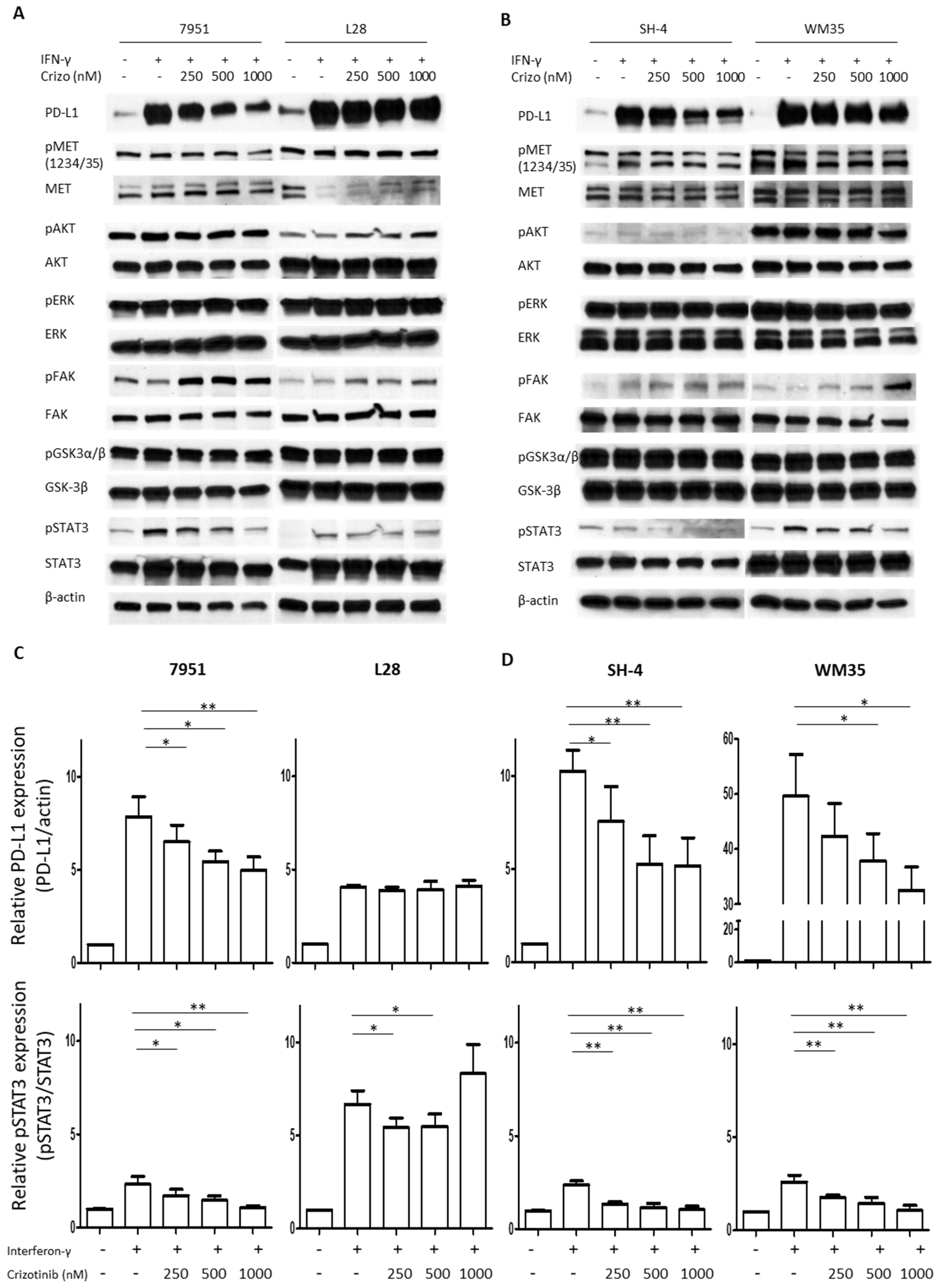 Cancers 15 03408 g002