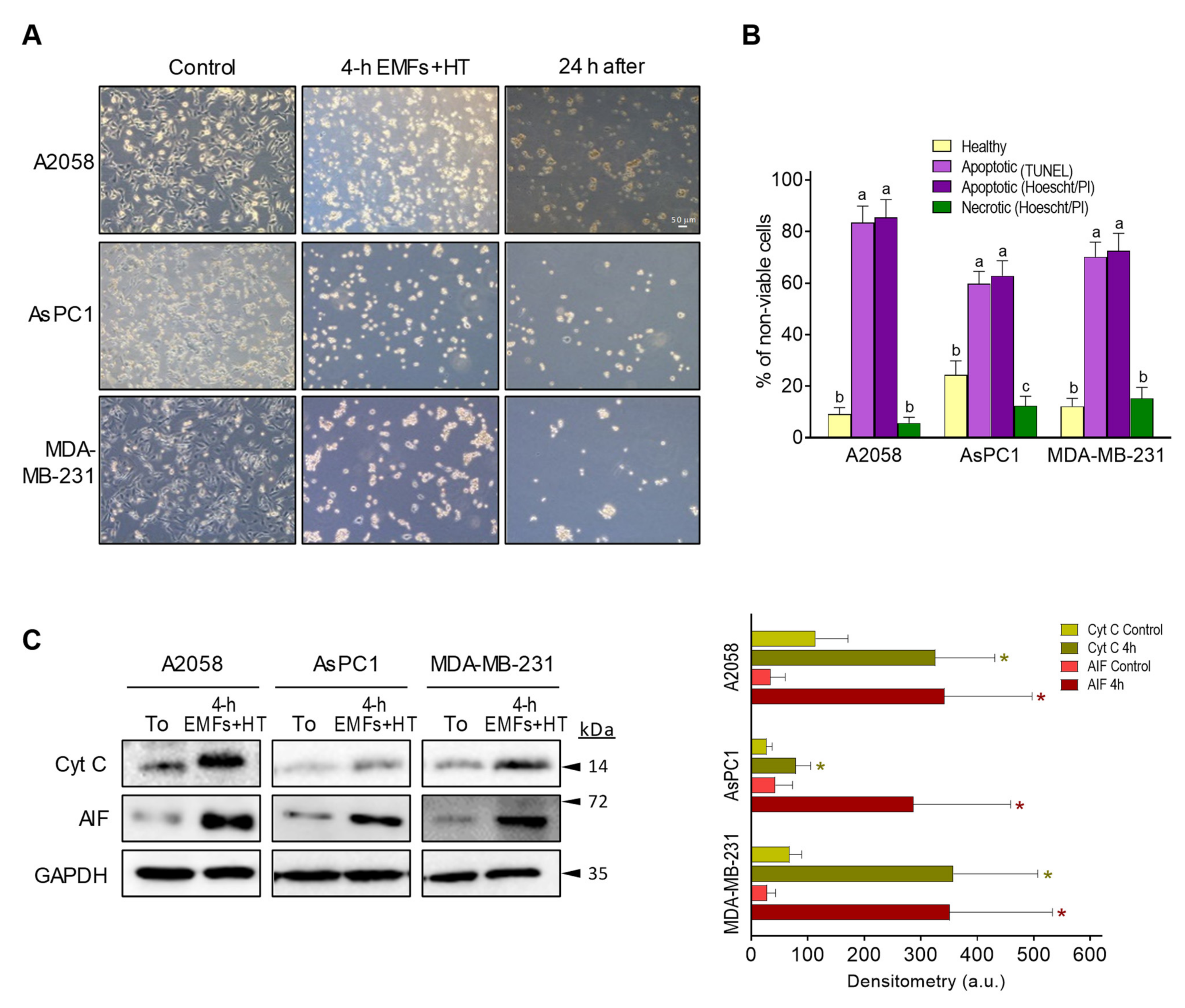 Cancers 15 03413 g003 Cancers 15 03413 g003