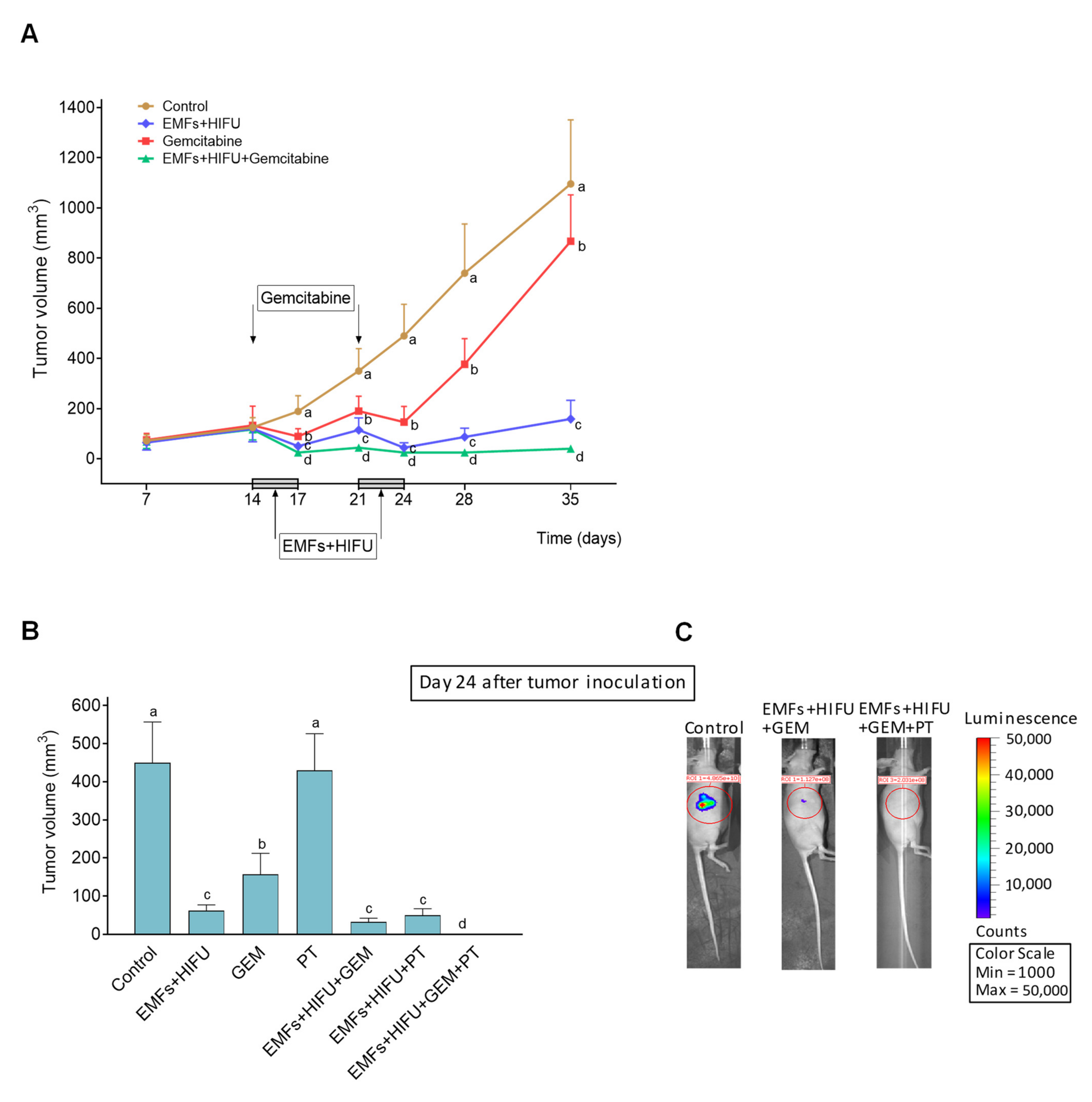 Cancers 15 03413 g007 Cancers 15 03413 g007
