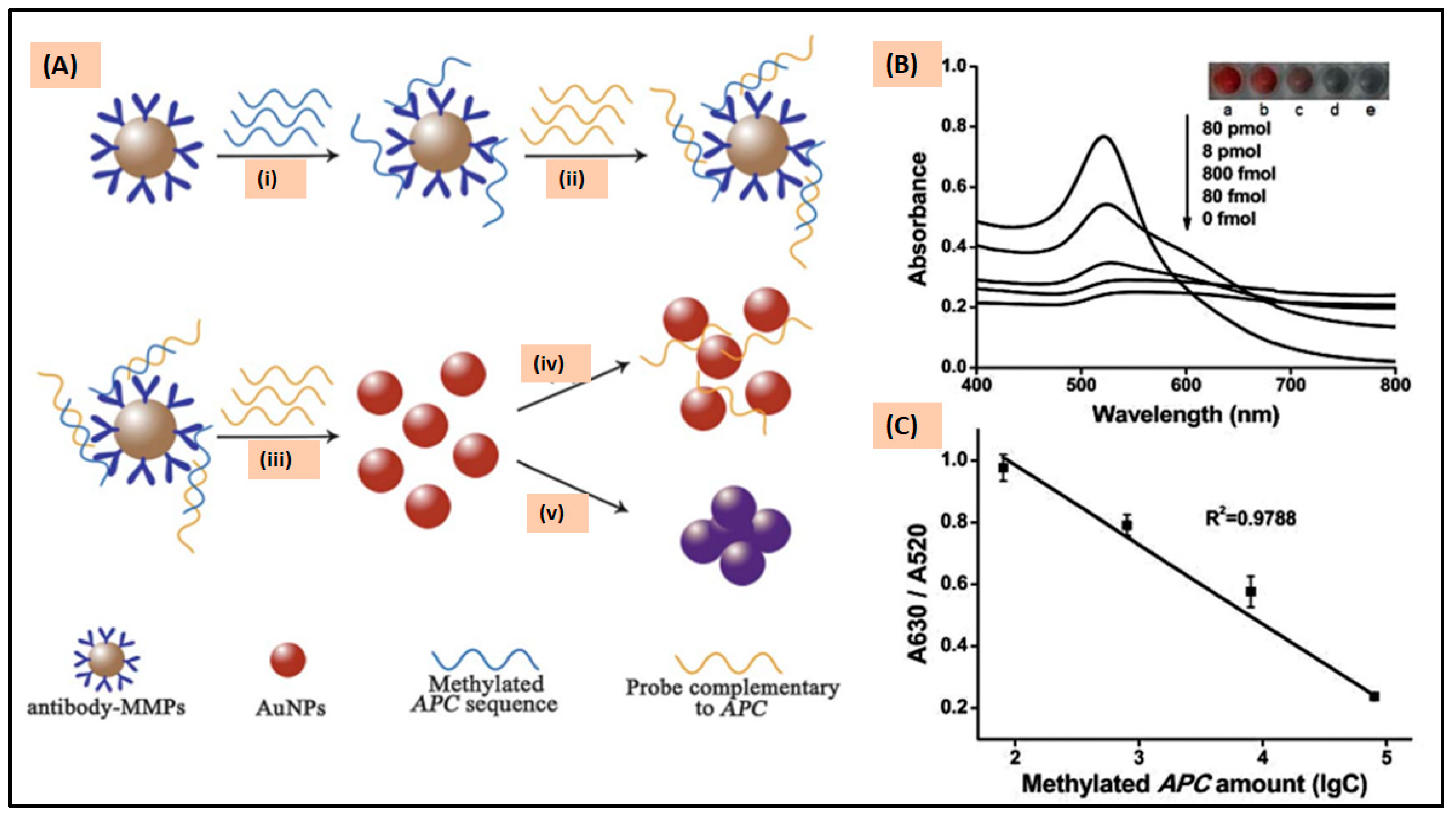 Cancers 15 03414 g002 Cancers 15 03414 g002